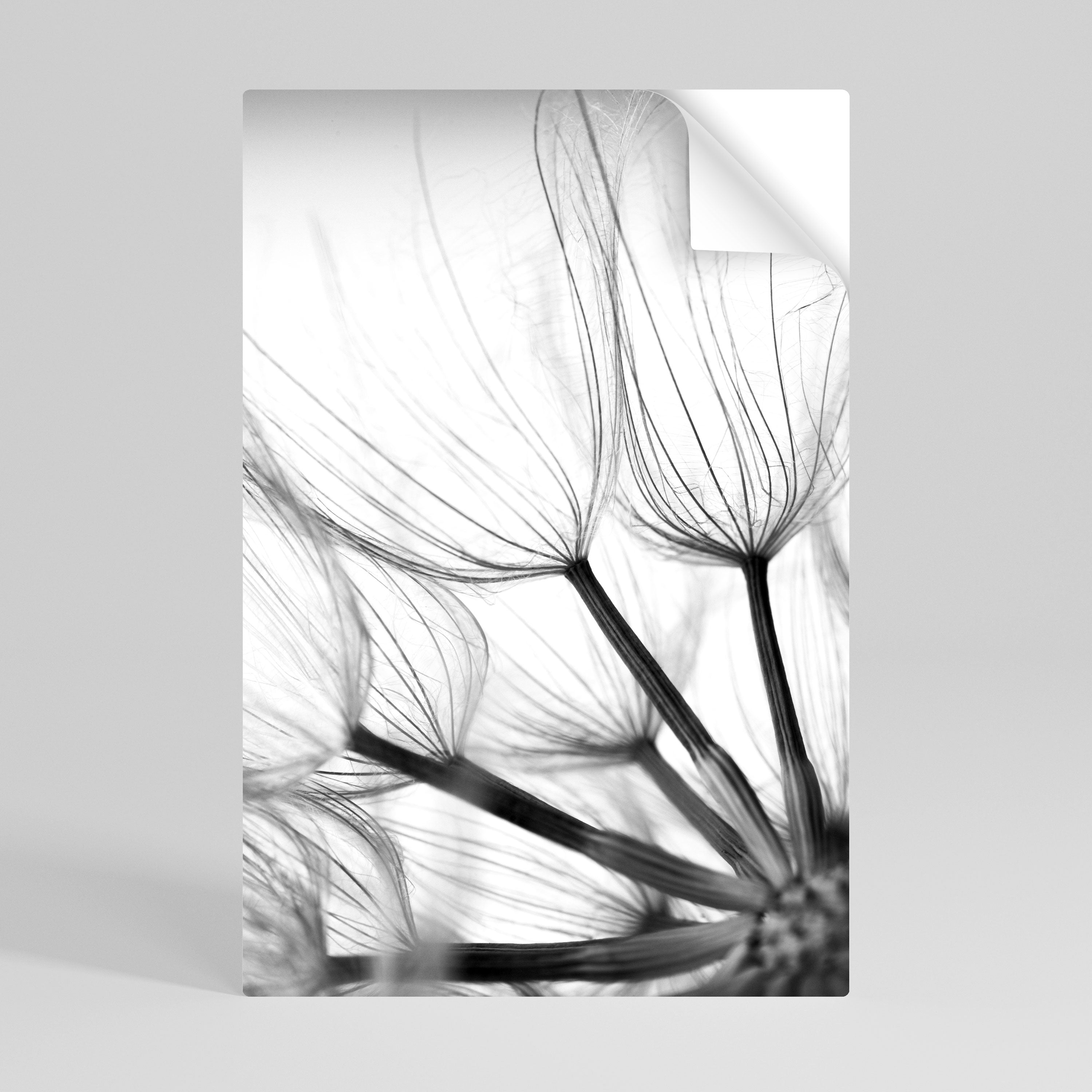SILKEN FLIGHT Peel and Stick Vertical Poster