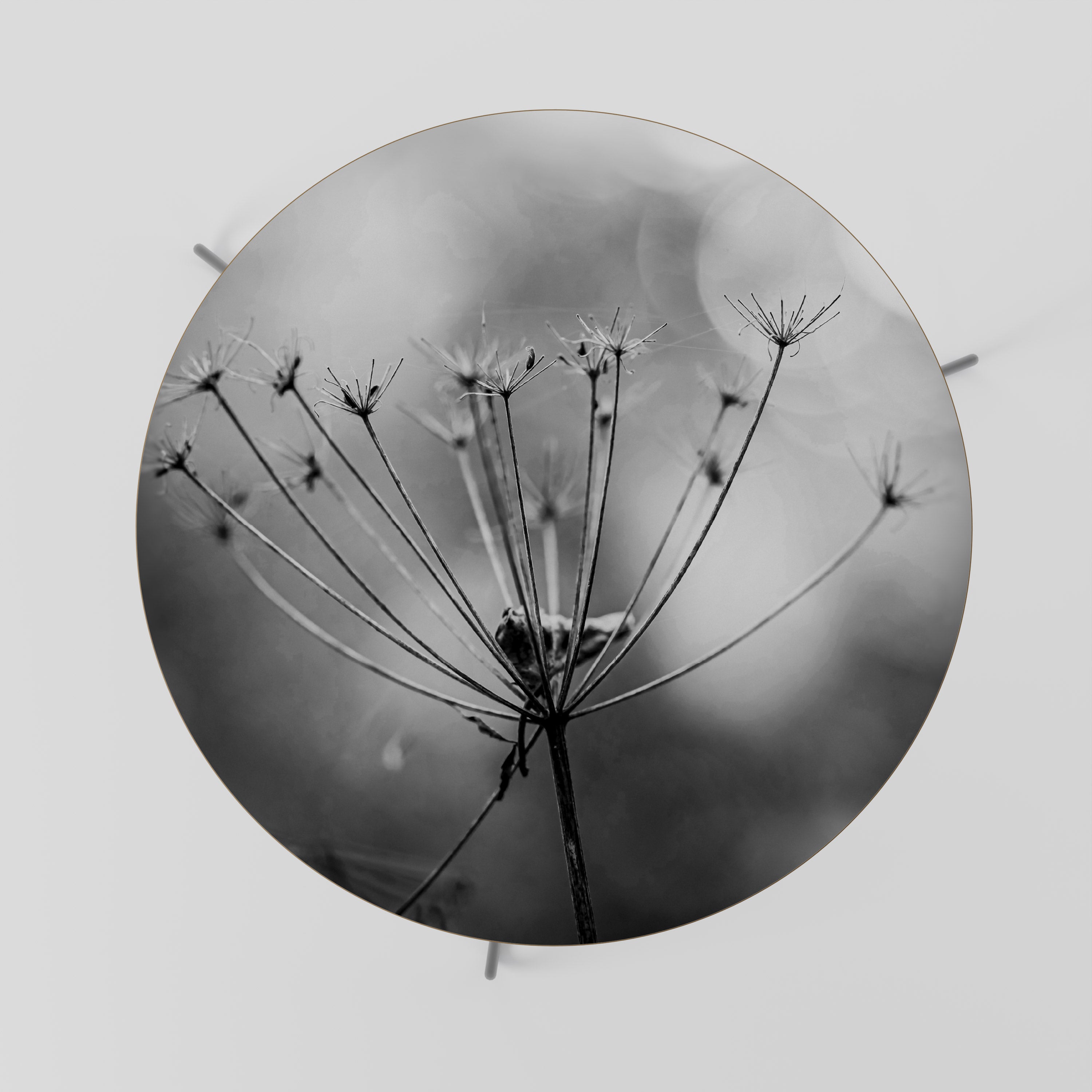 Mesa de centro minimalista Bloom 69