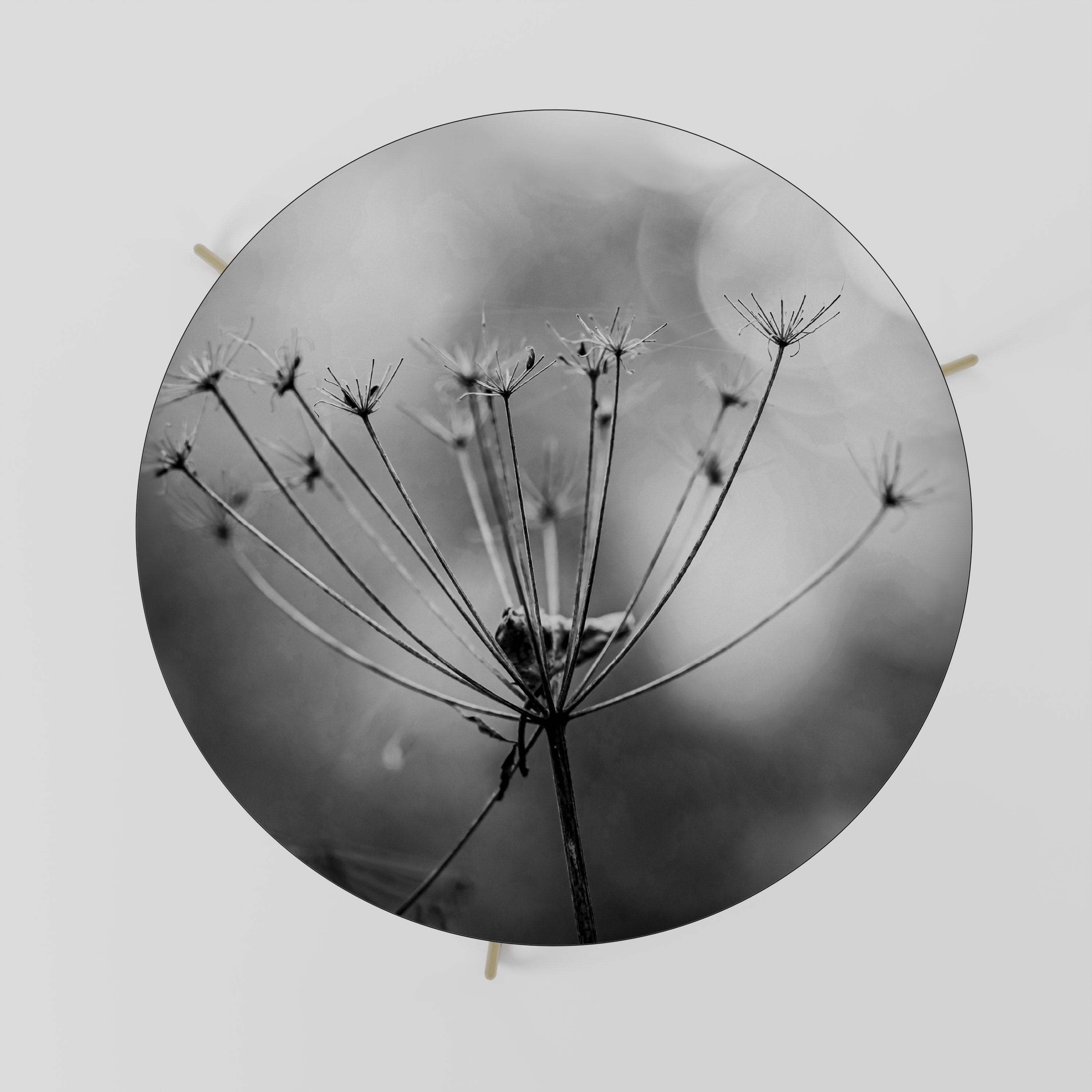 Mesa de centro minimalista Bloom 69