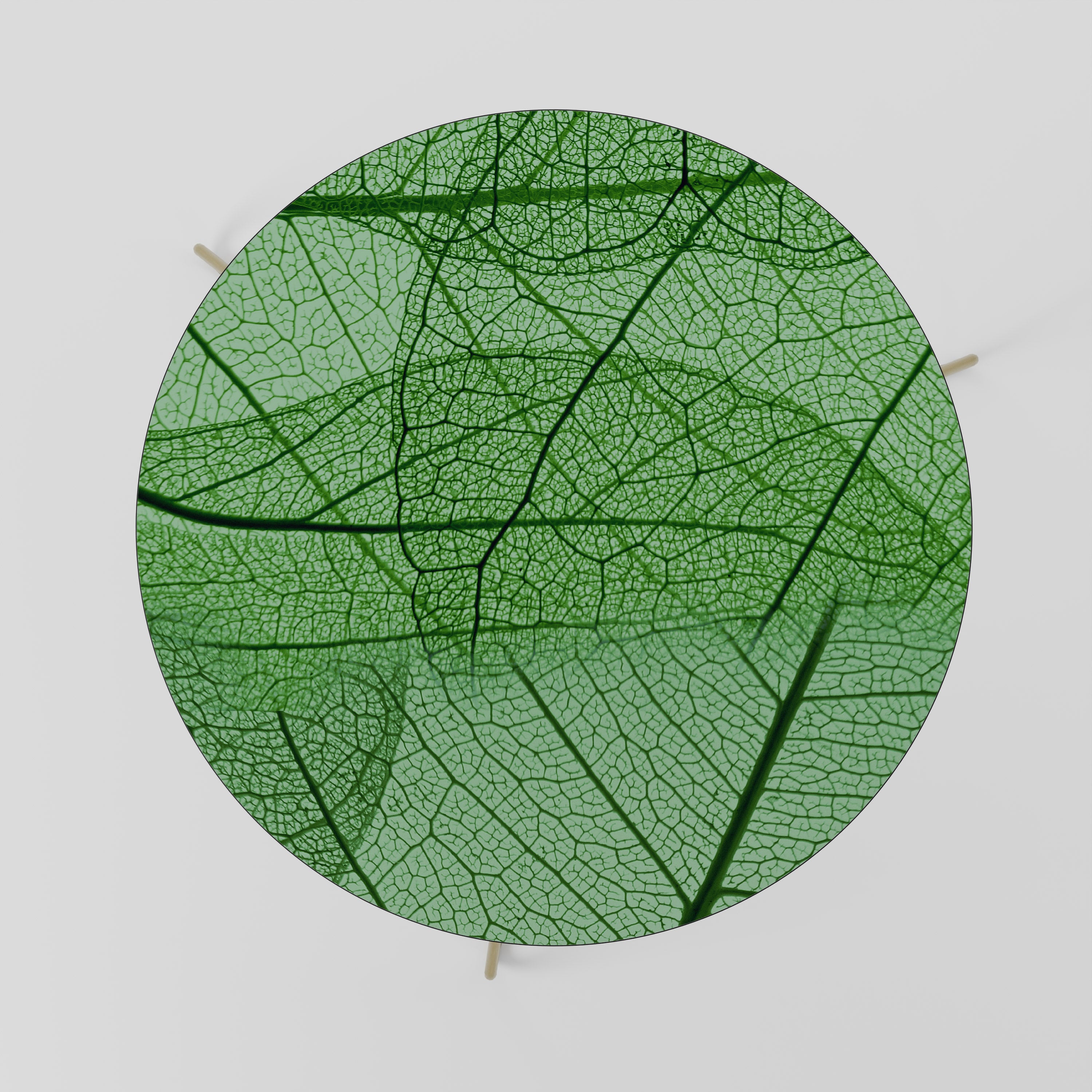 VEINS OF LIFE Coffee Table 69