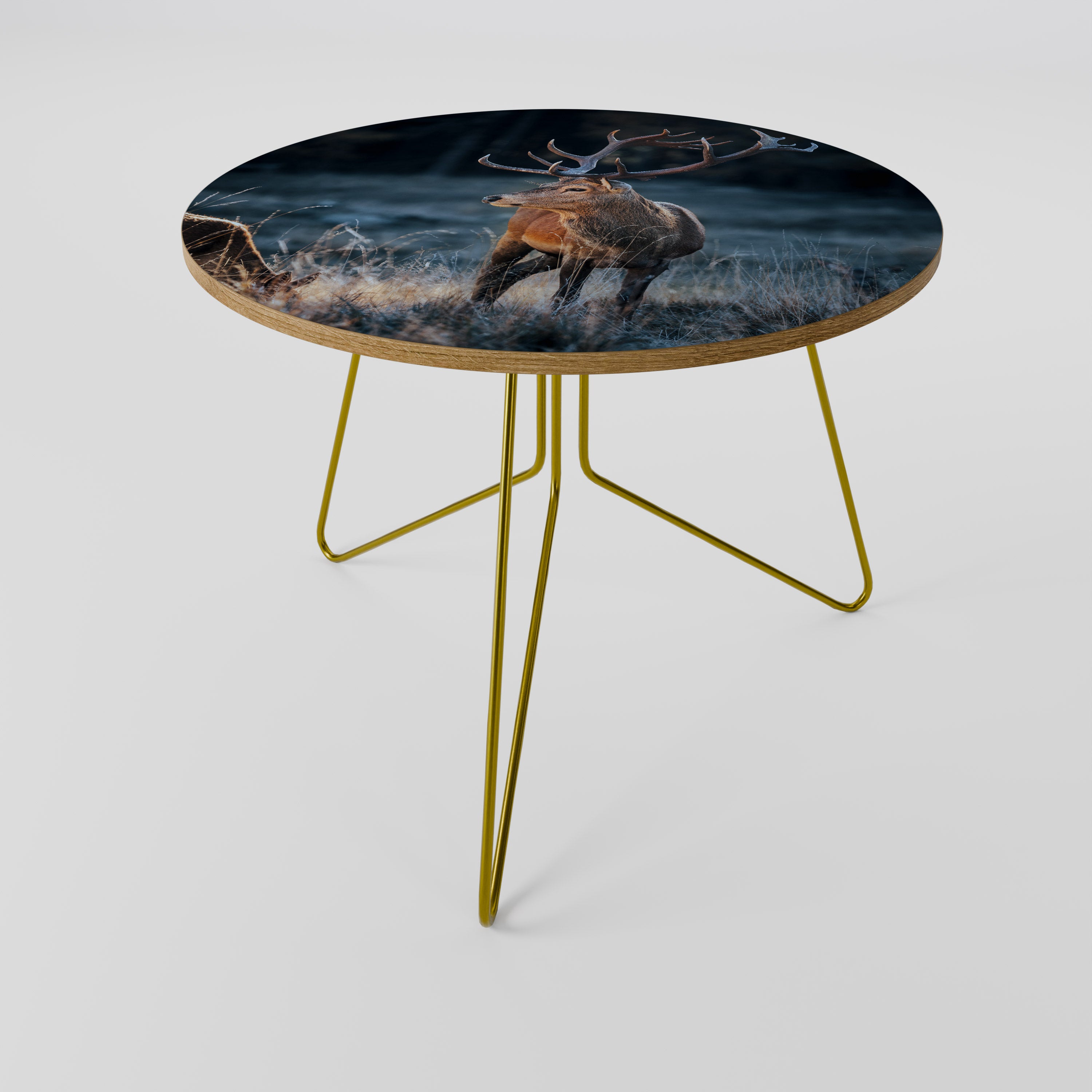 ANTLERED REGALITY Coffee Table 69