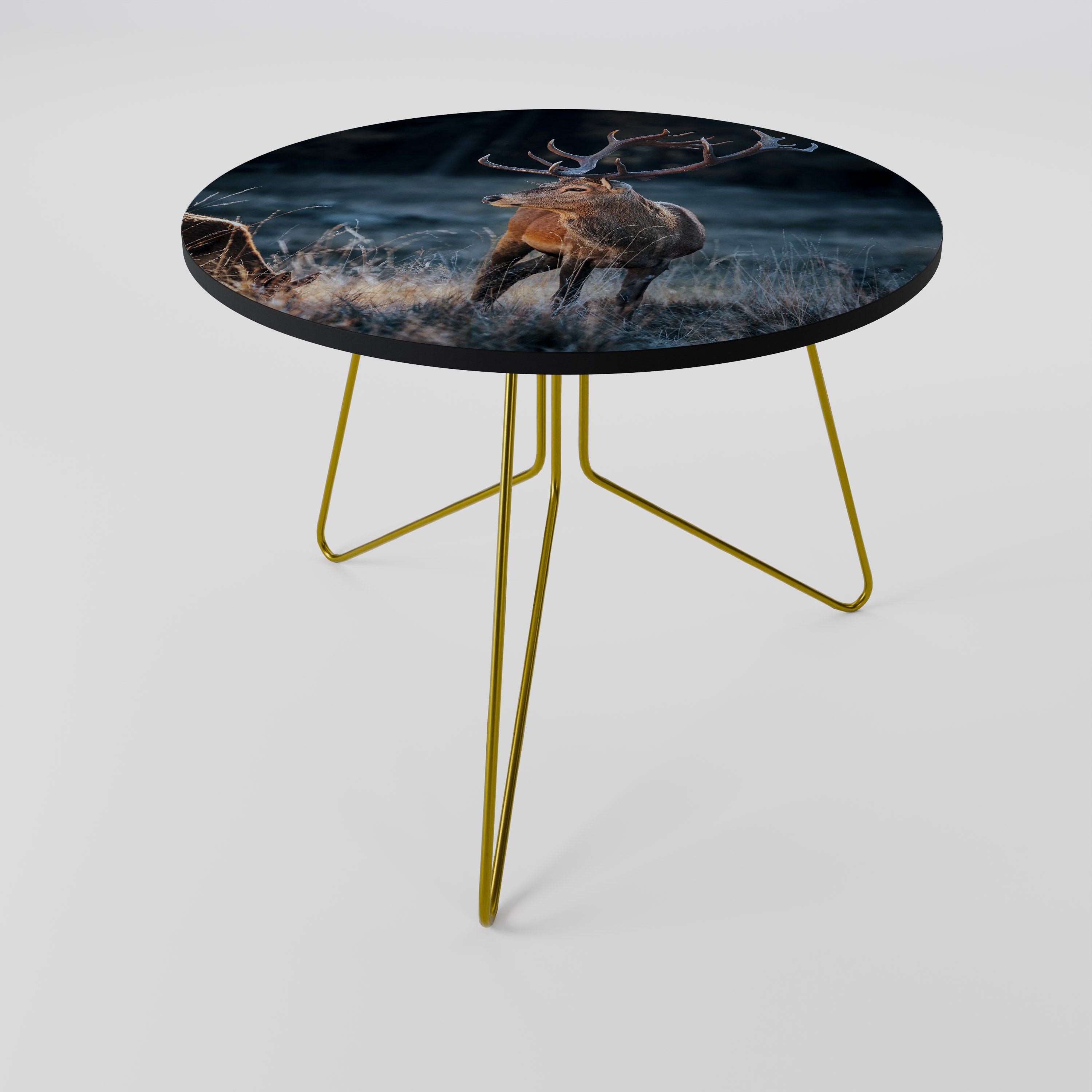 ANTLERED REGALITY Coffee Table 69