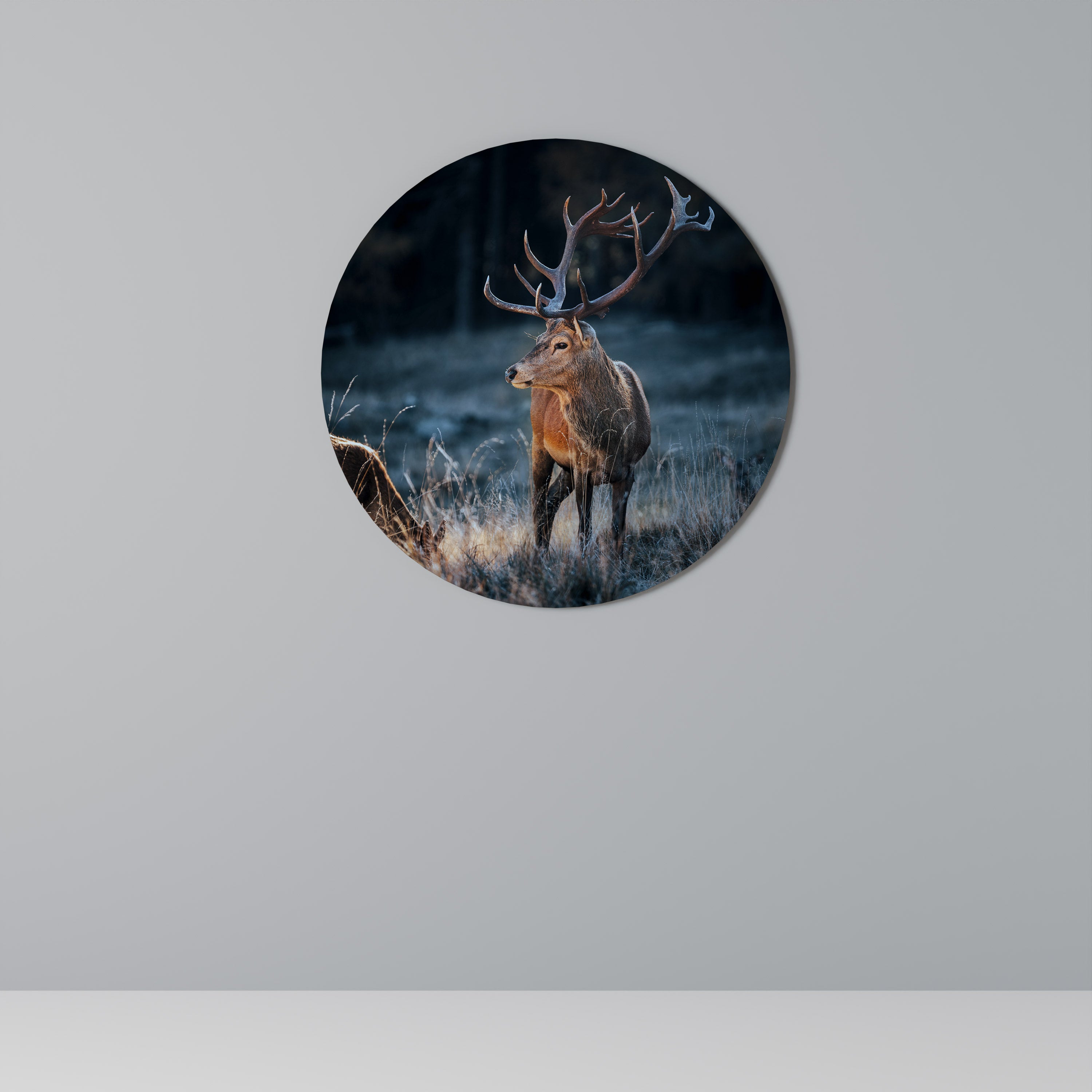 ANTLERED REGALITY Round Wall Art