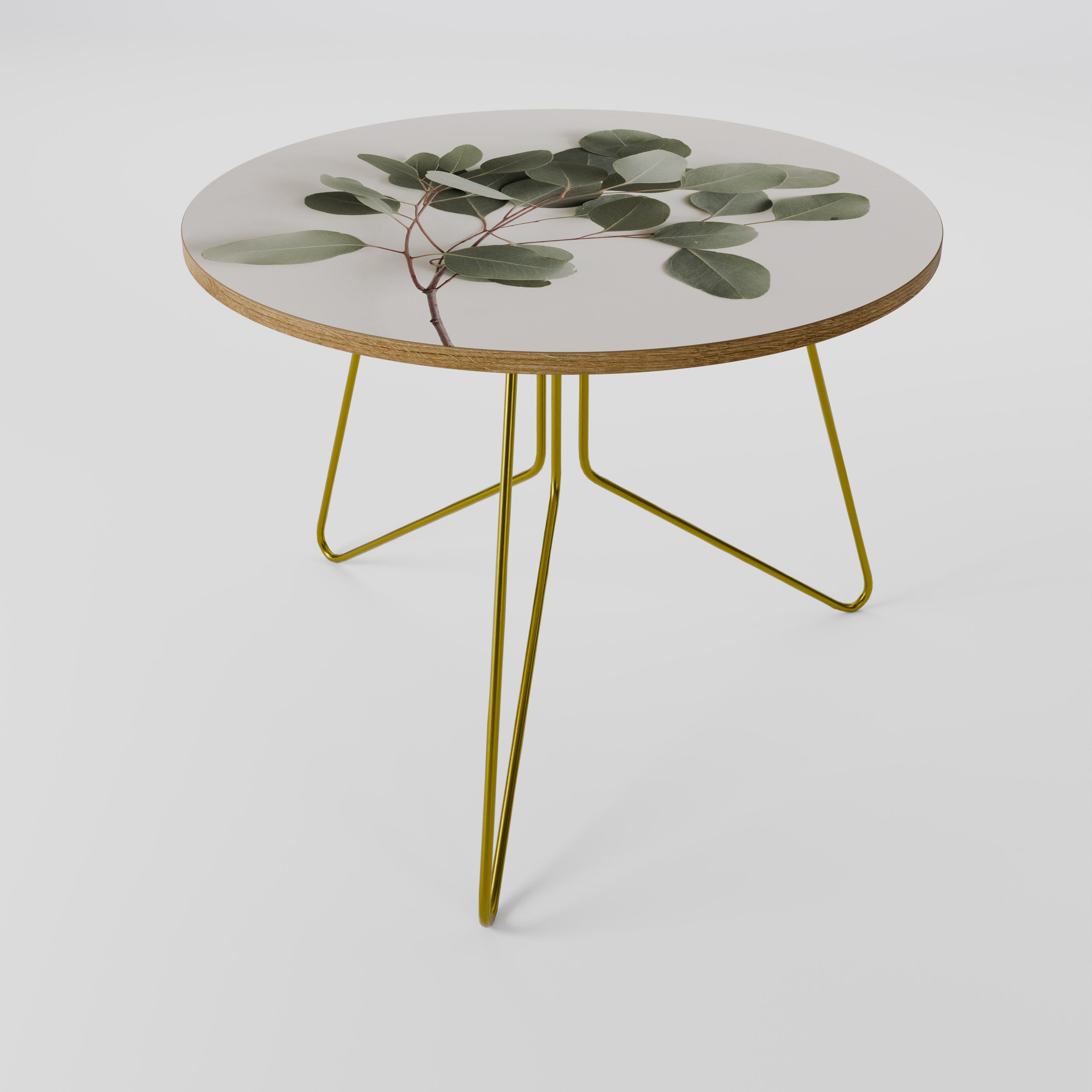 EUCALYPTUS BRANCH Coffee Table 69