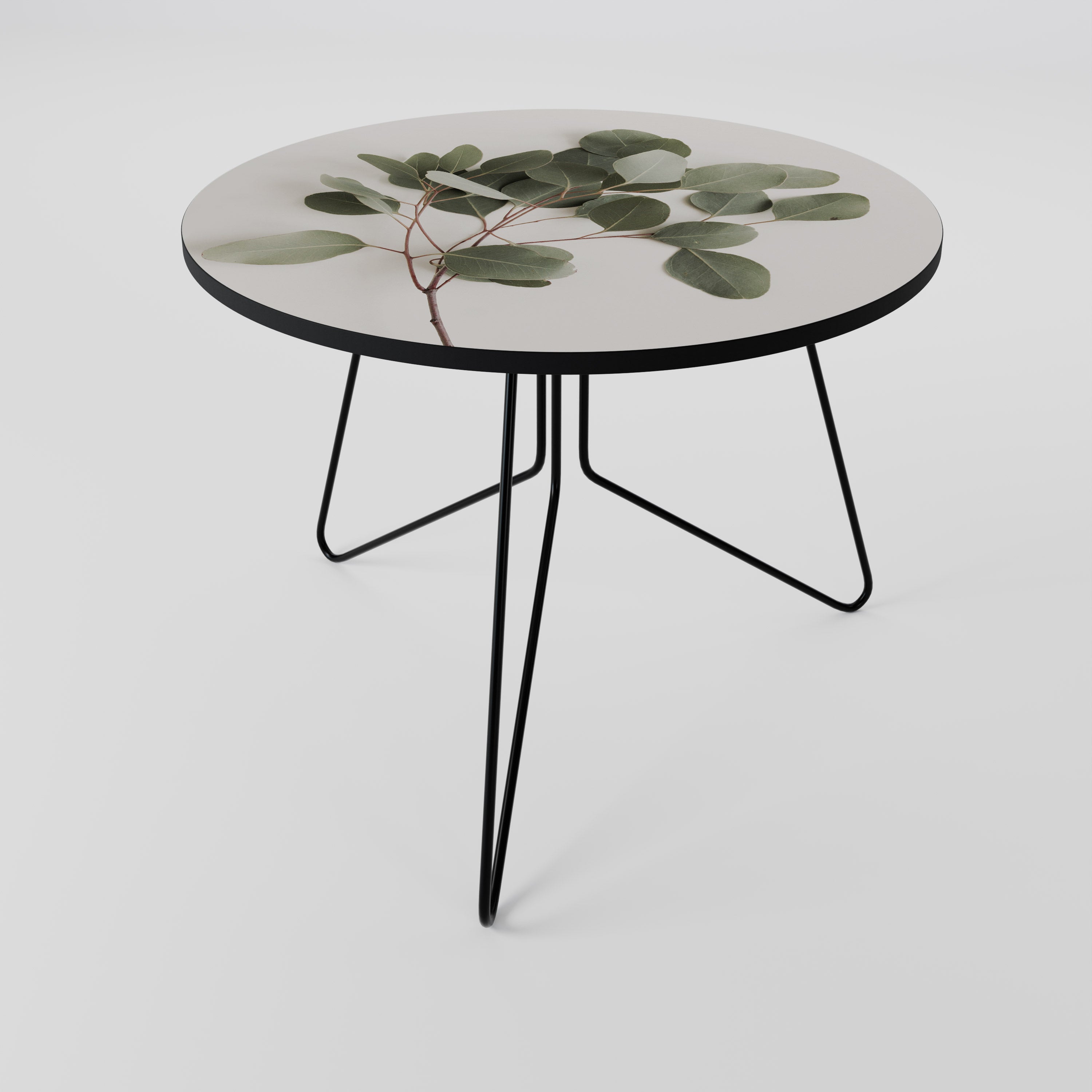 EUCALYPTUS BRANCH Coffee Table 69