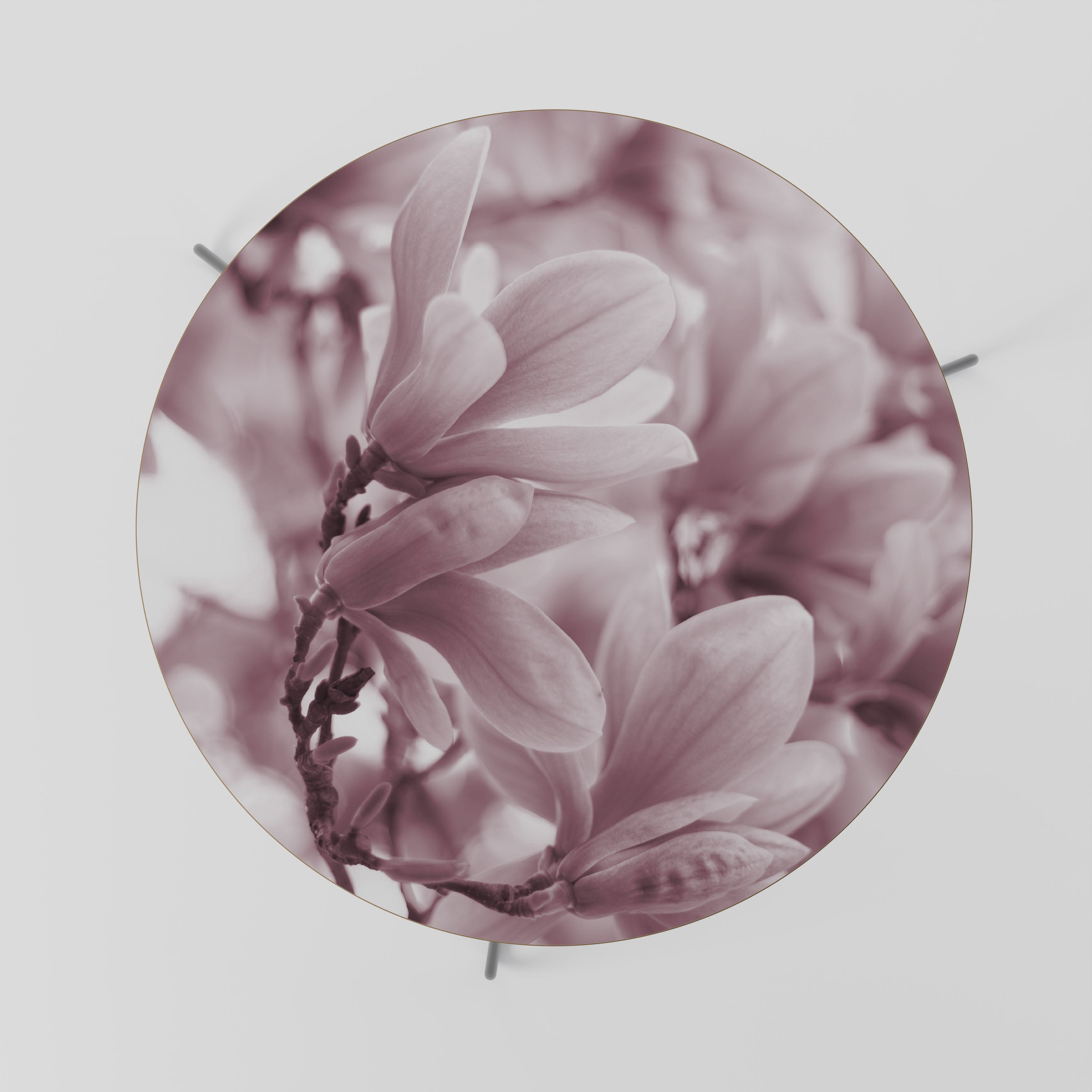 Mesa de centro PINK BLOSSOM DREAM 69