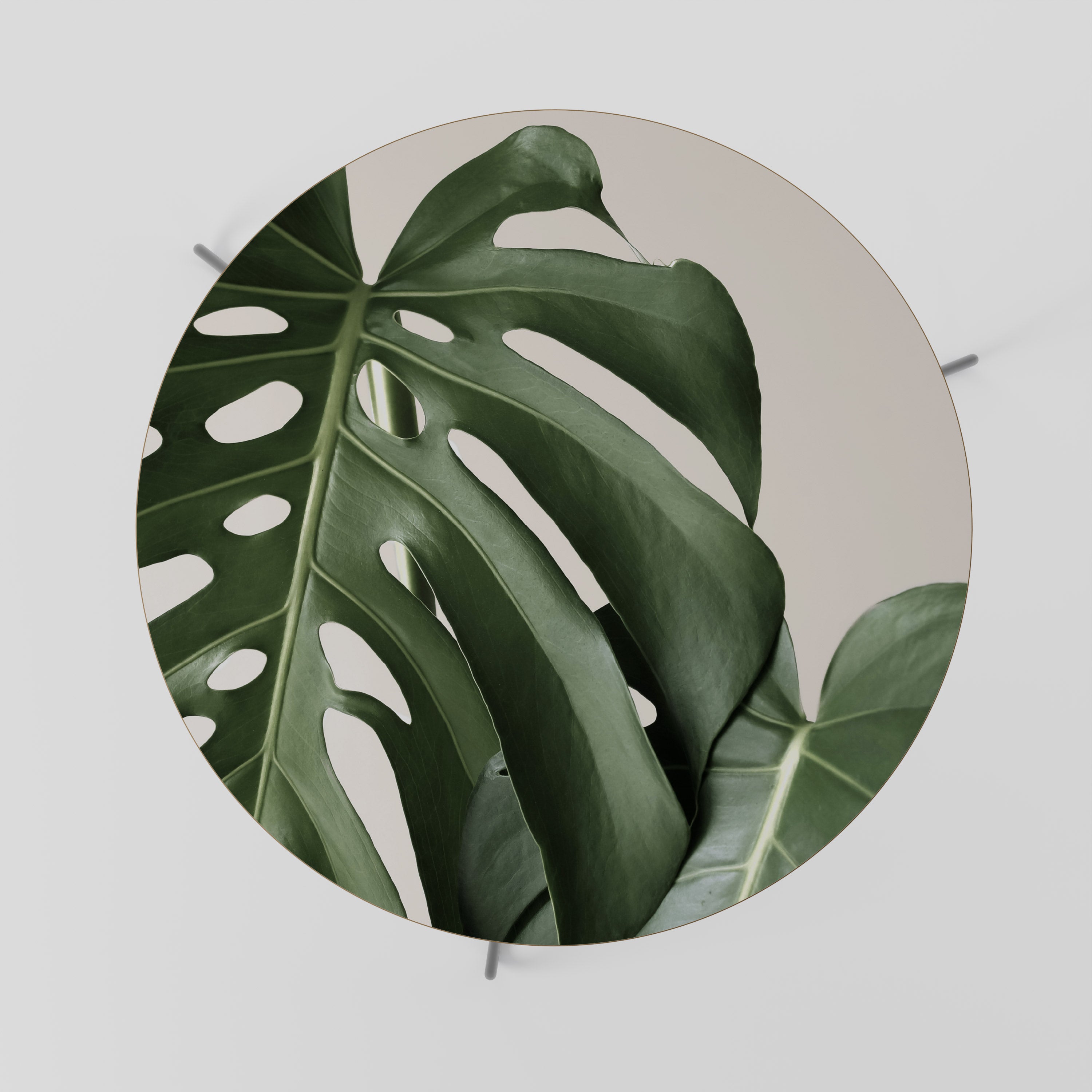 Mesa de centro MONSTERA ACCURACY 69