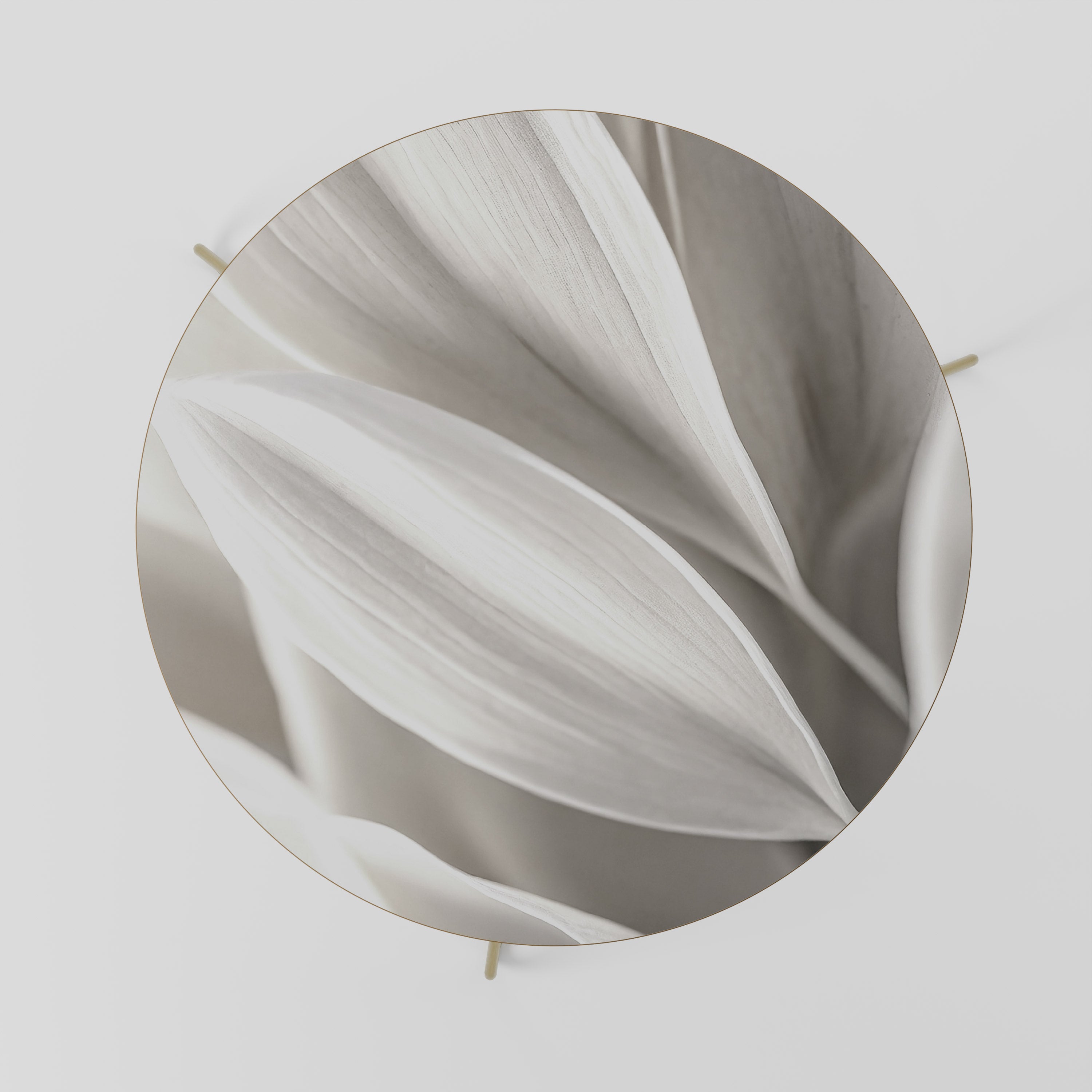 Mesa de centro Whispers of White 69