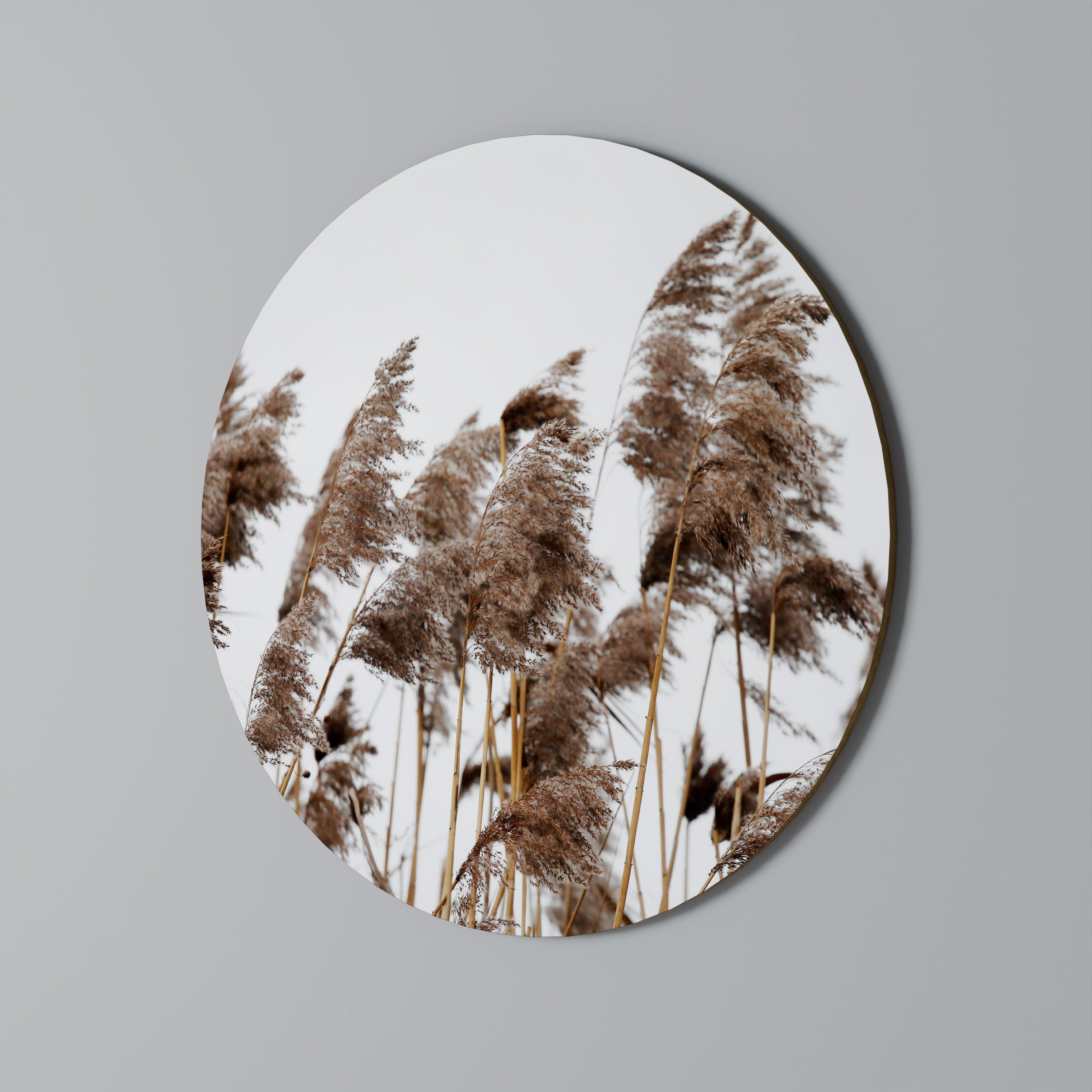 DANCE OF REEDS Round Wall Art