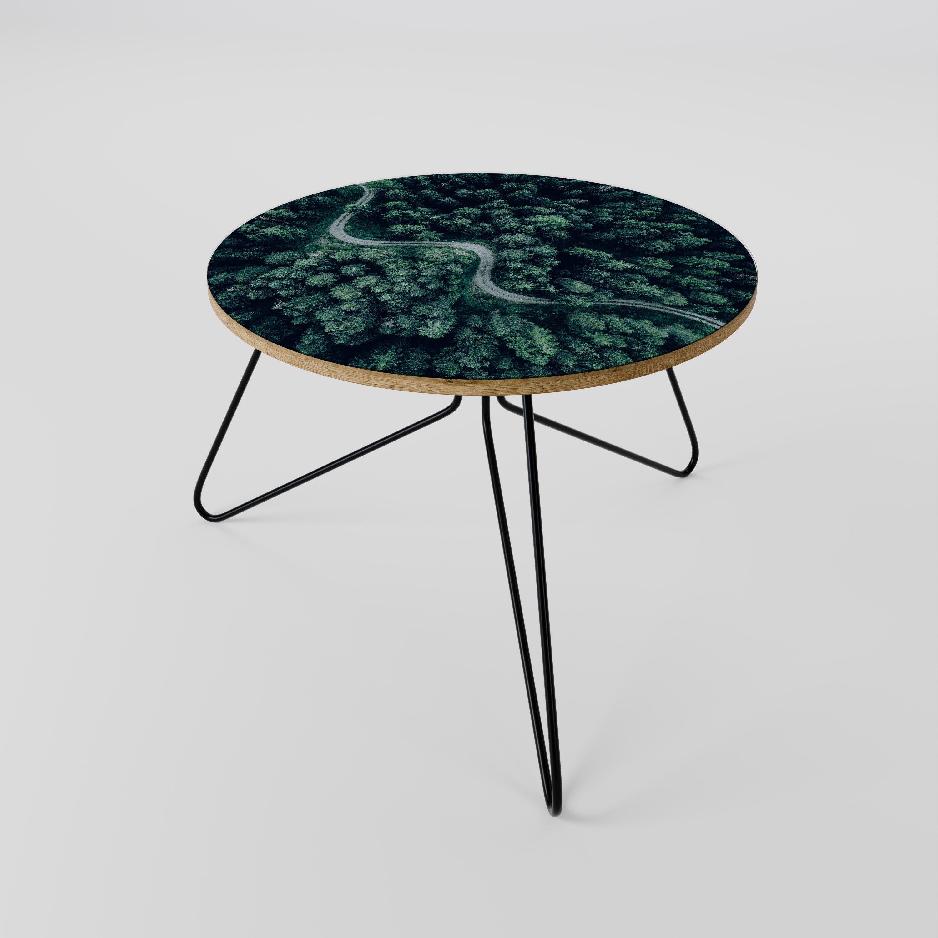 FORESTED SERPENTINE ROUTE Coffee Table 60