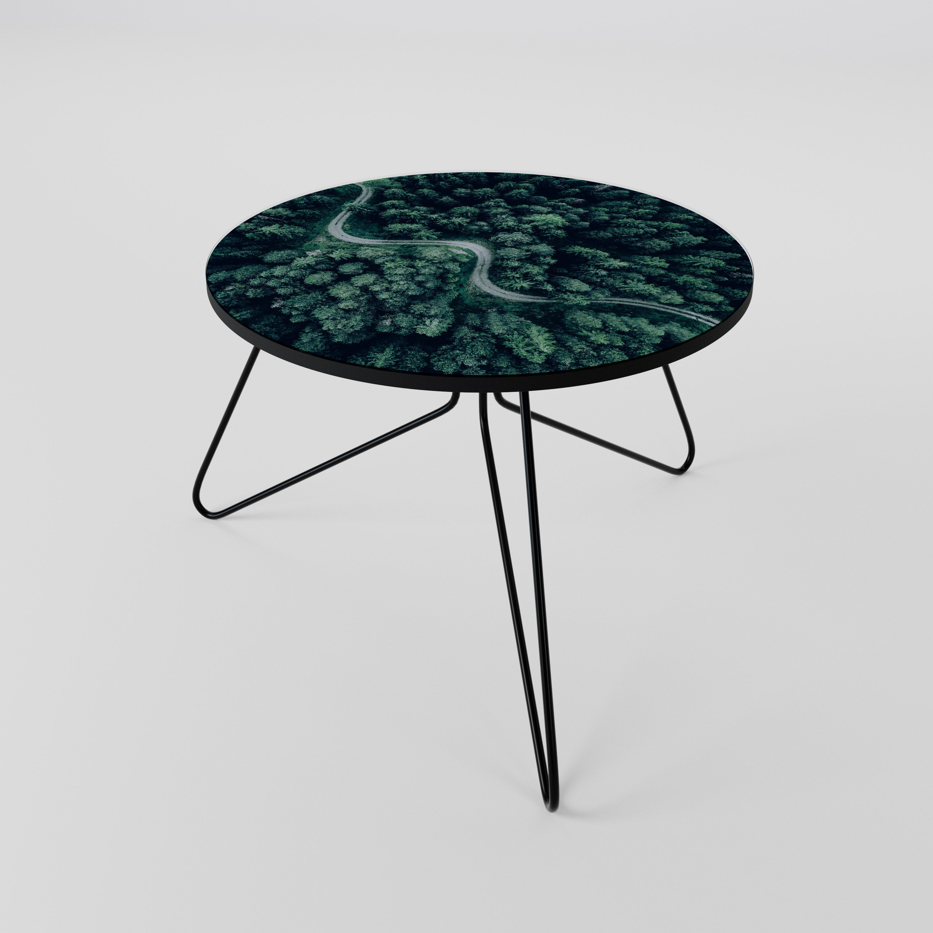 FORESTED SERPENTINE ROUTE Coffee Table 60