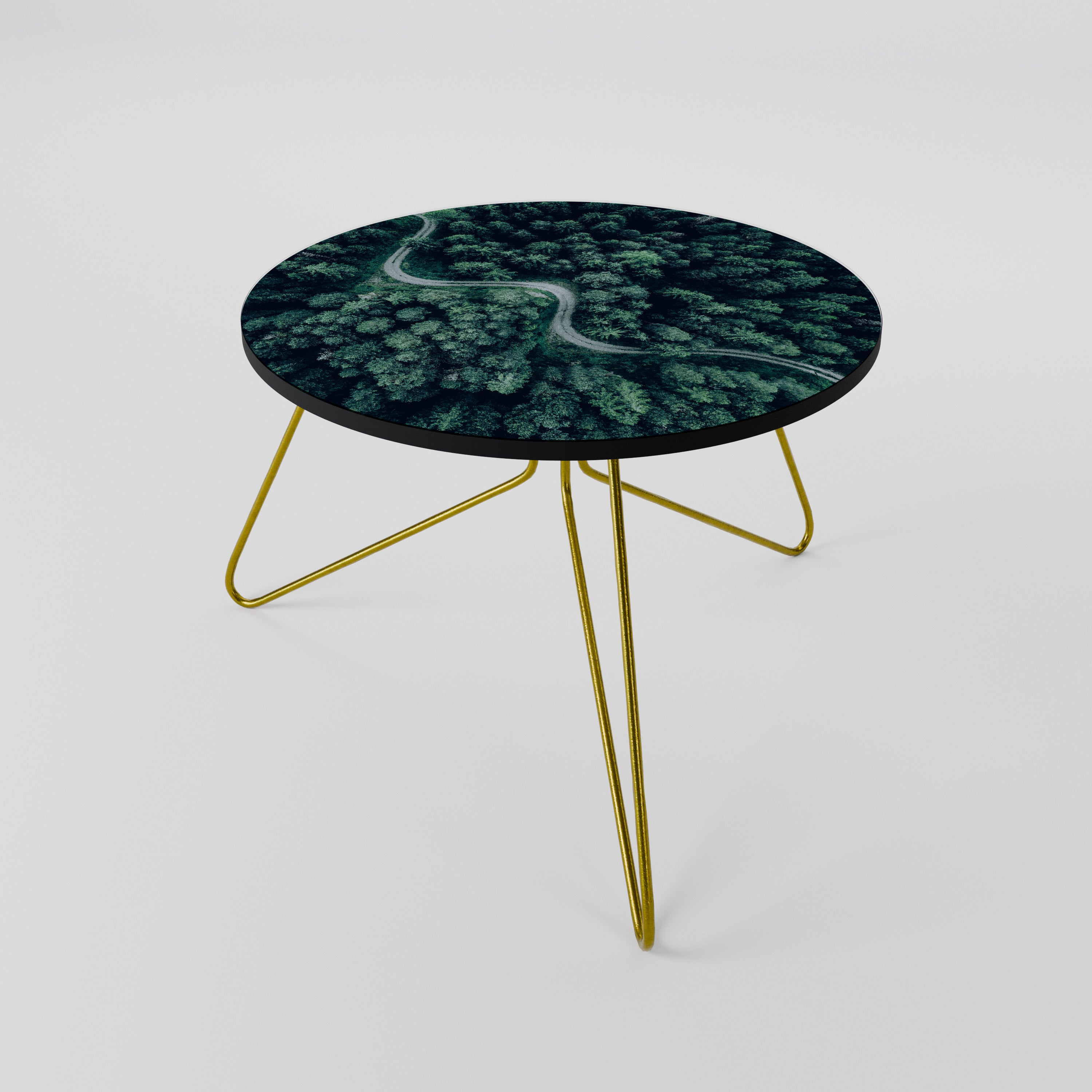 FORESTED SERPENTINE ROUTE Coffee Table 60