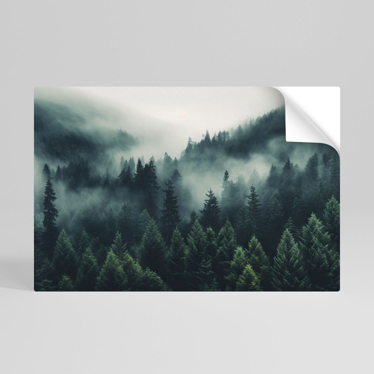 MYSTICAL FOREST WHISPERS Póster adhesivo horizontal