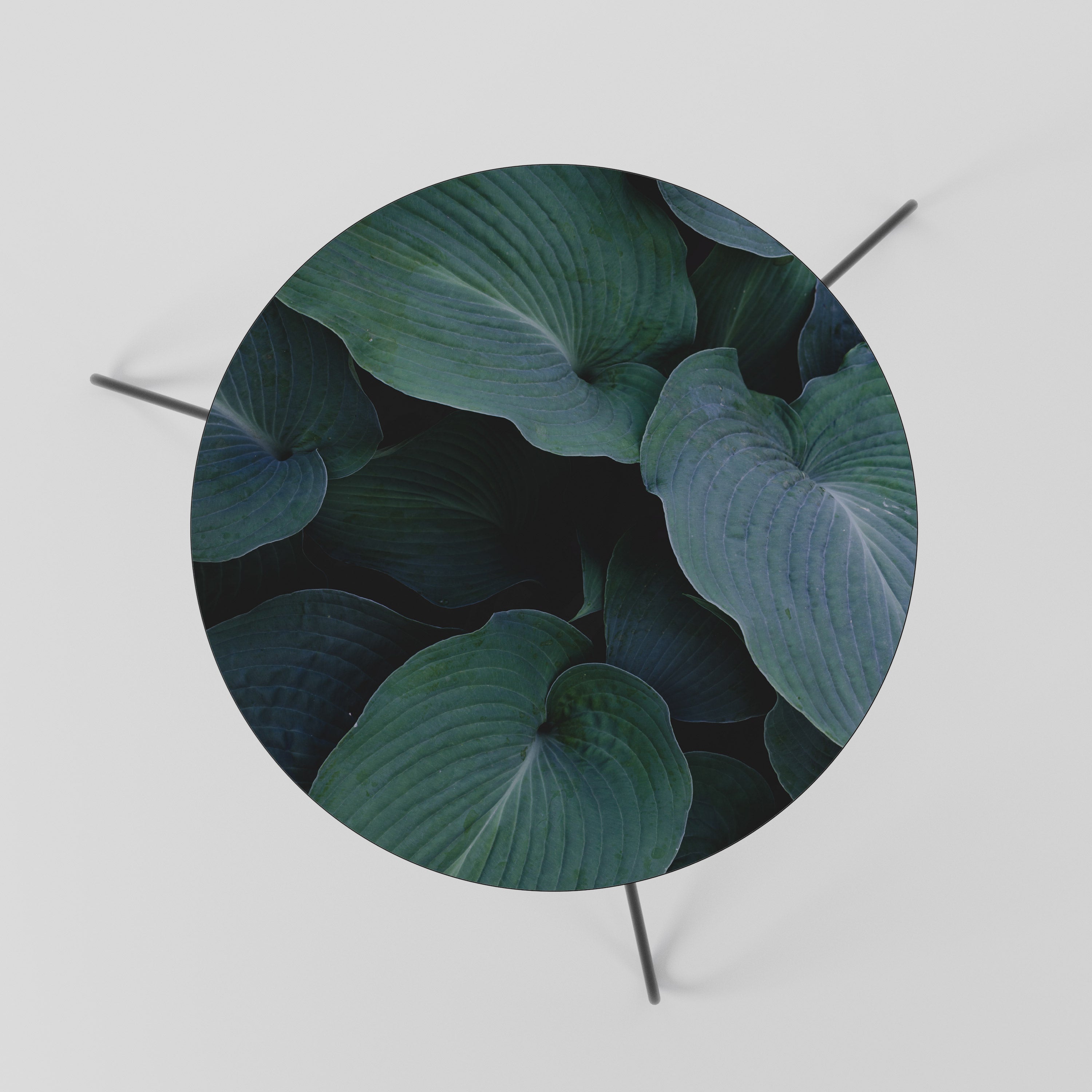 ENCHANTED FOLIAGE DANCE Coffee Table 60