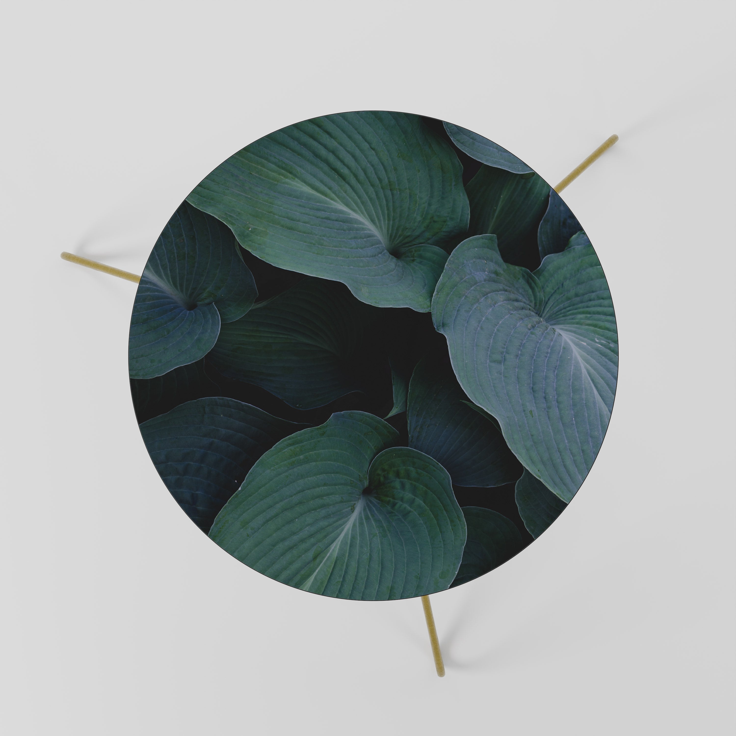 ENCHANTED FOLIAGE DANCE Coffee Table 60