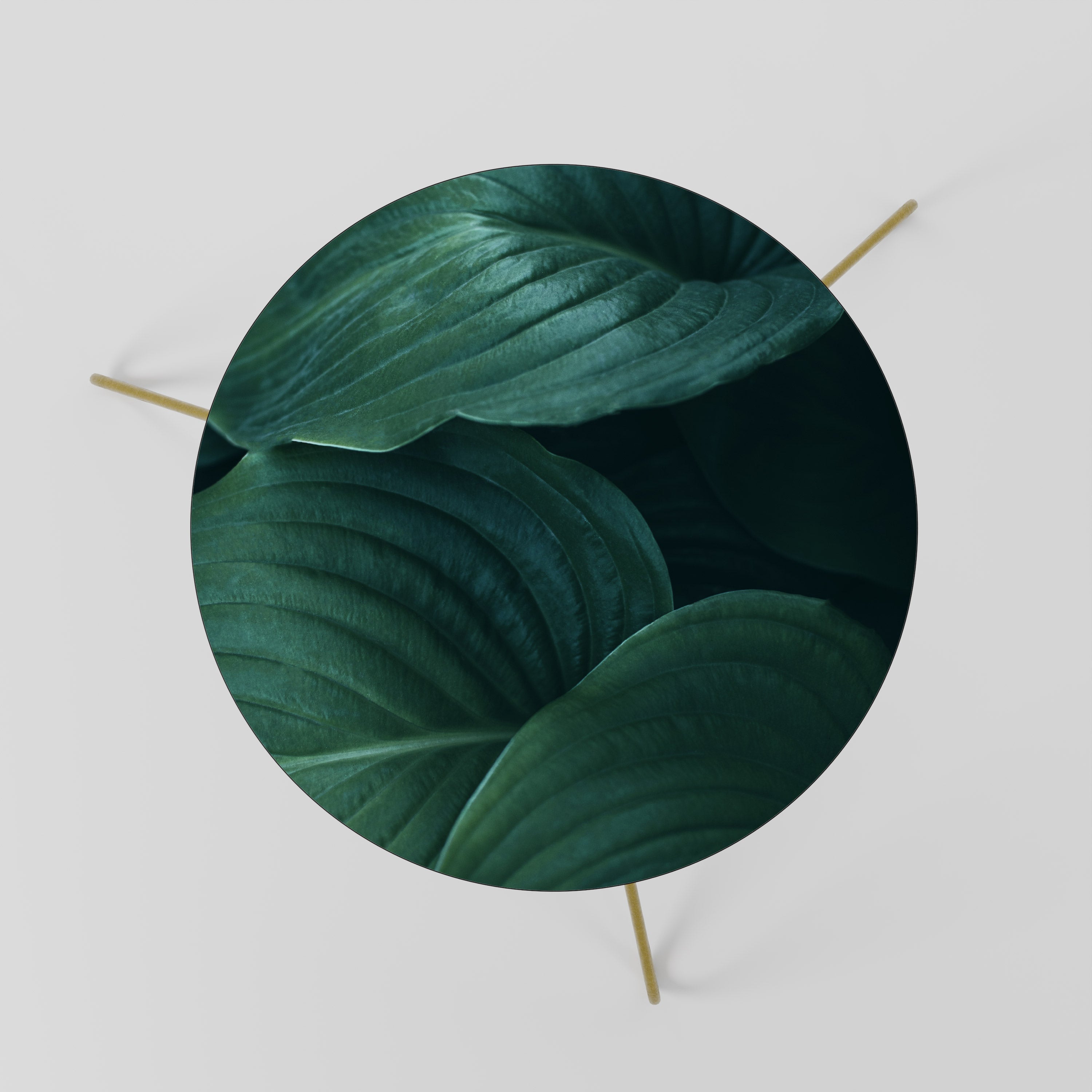 SUBTLE BOTANICAL HUES Coffee Table 60