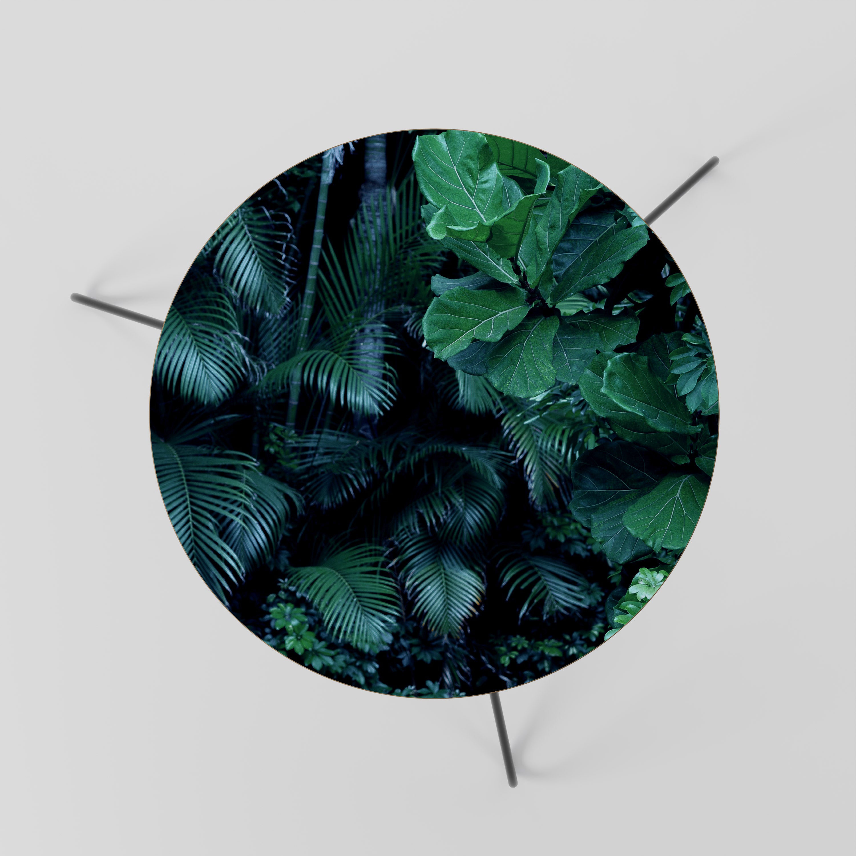 DEEP JUNGLE SERENADE Coffee Table 60