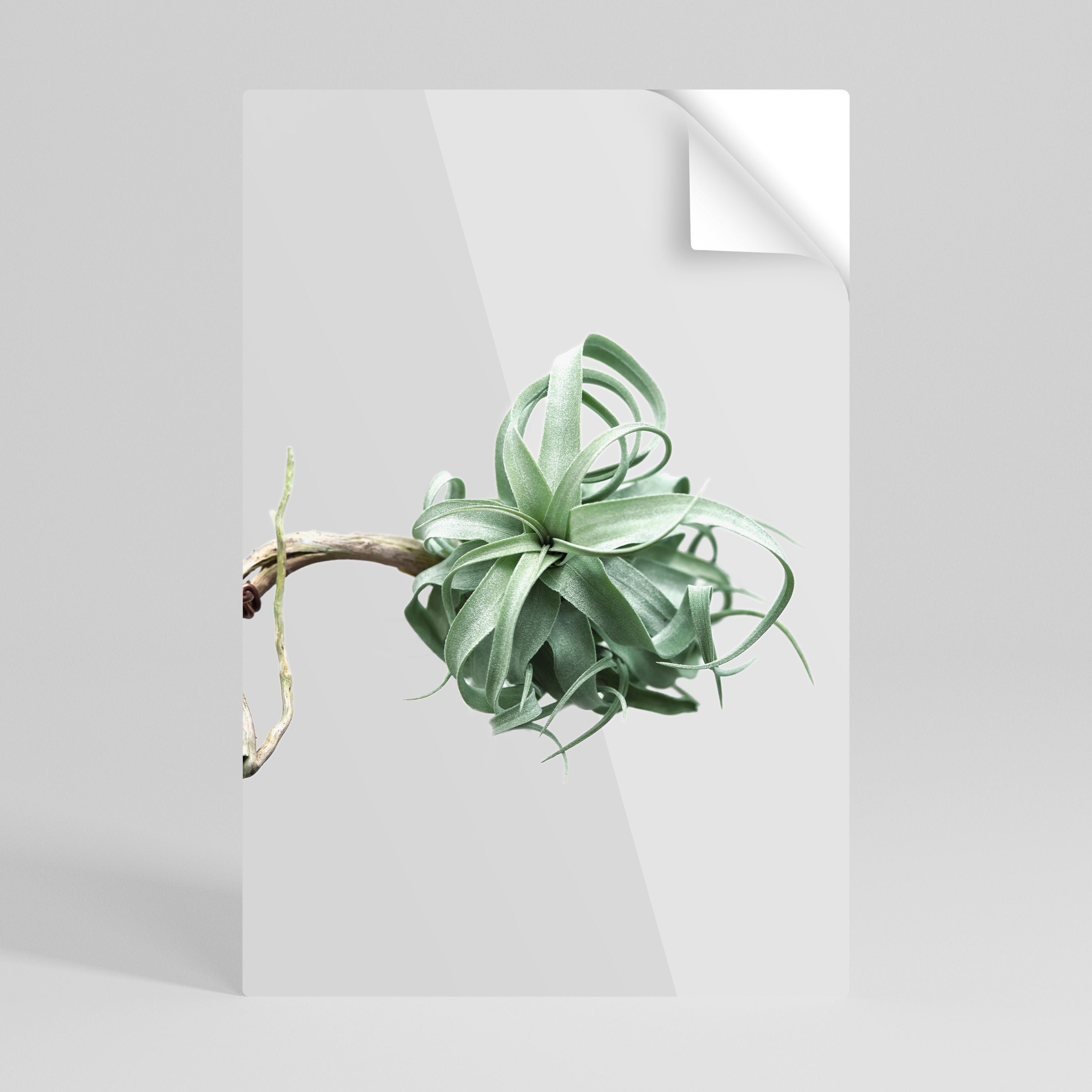 TANGLE OF NATURE Peel and Stick Vertical Poster