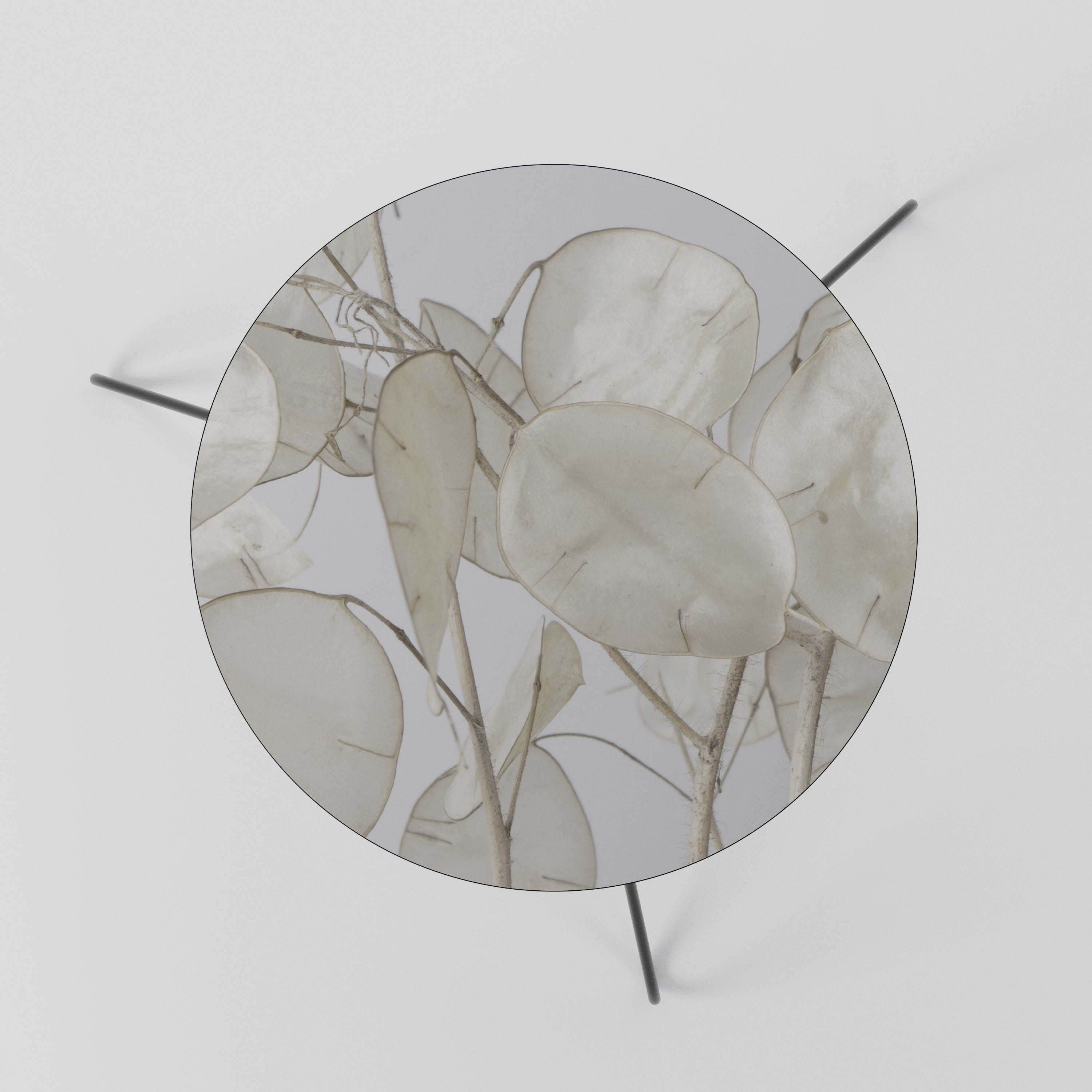 SILKY FOLIAGE WHISPERS Coffee Table 60