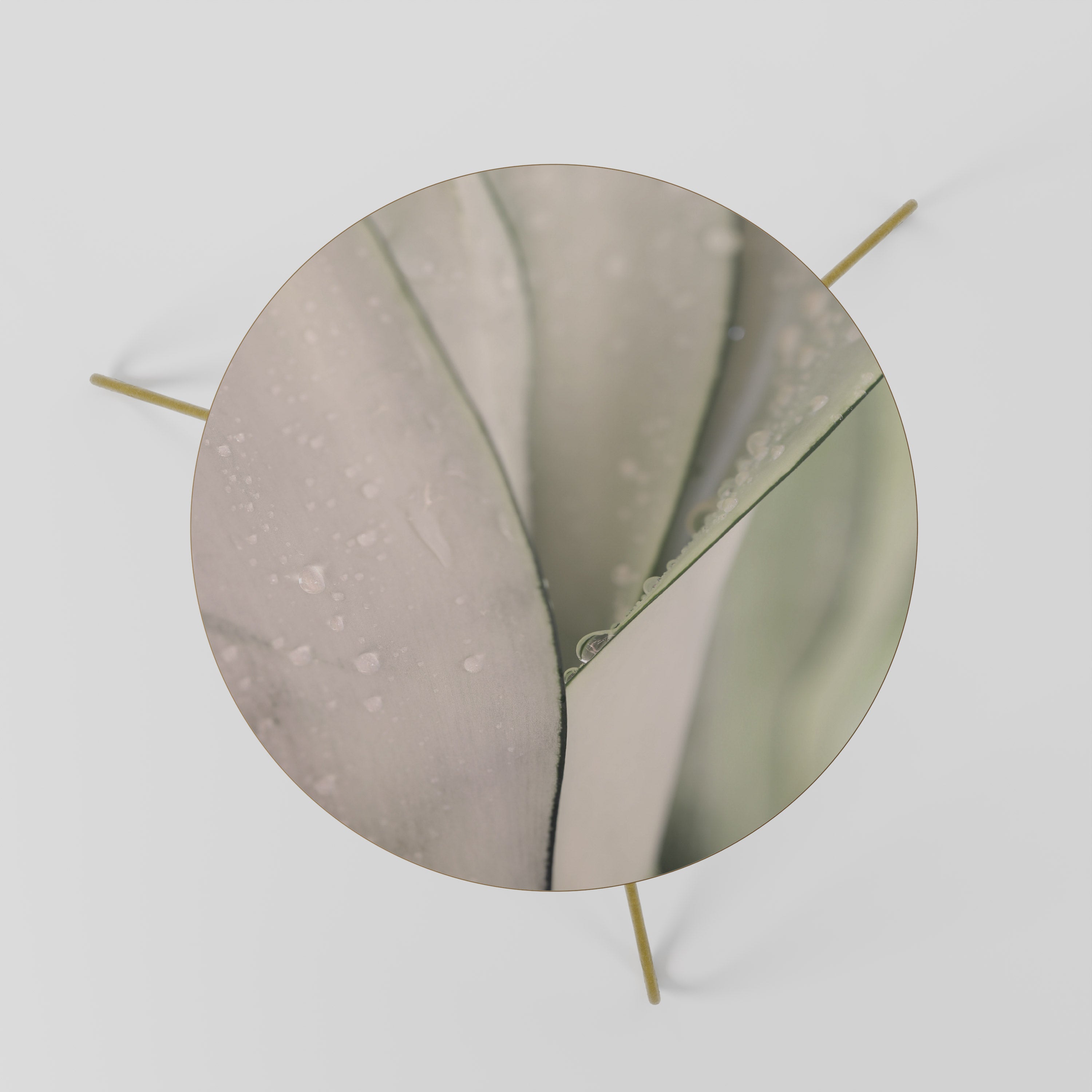 NATURE'S TAPESTRY Coffee Table 60