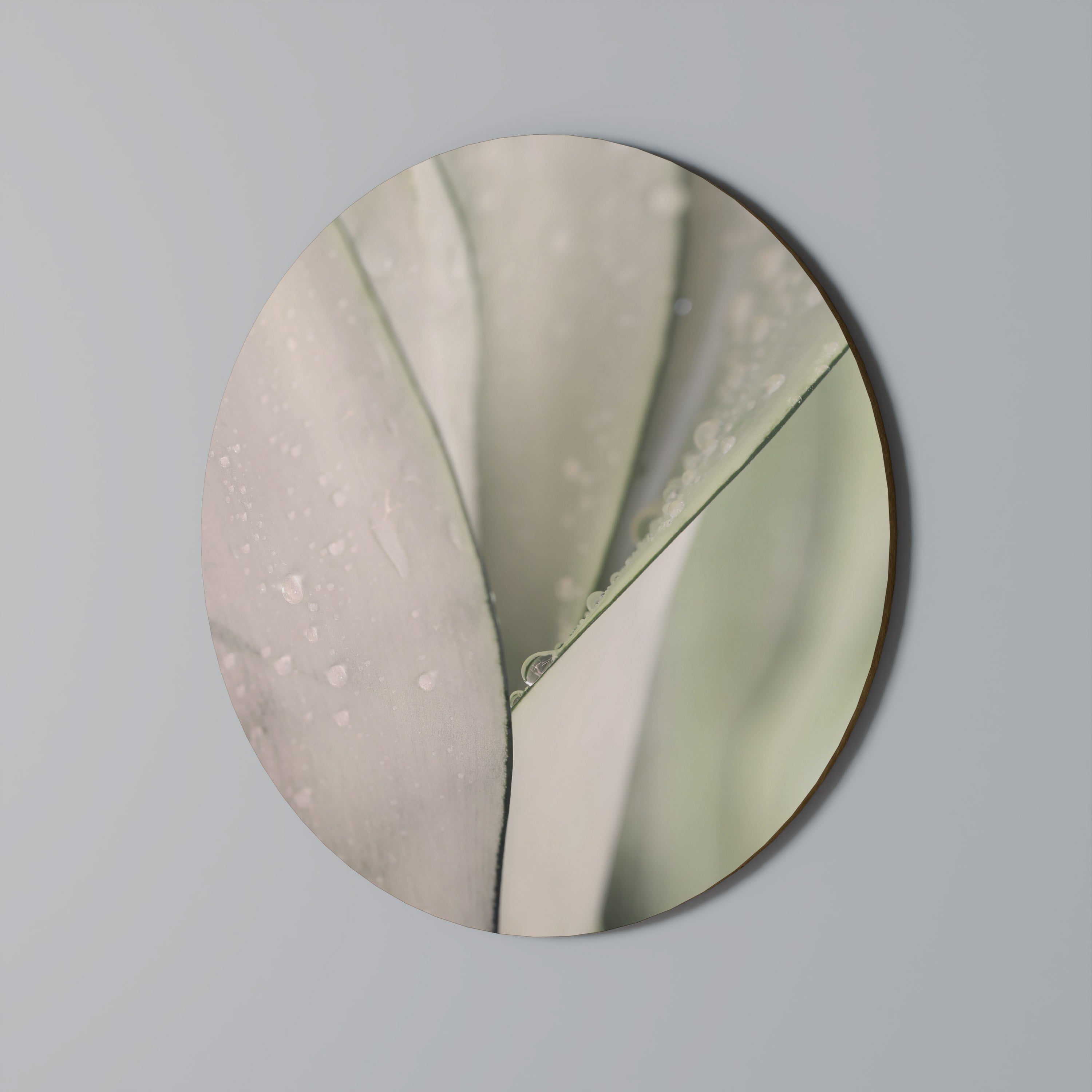 NATURE'S TAPESTRY Round Wall Art