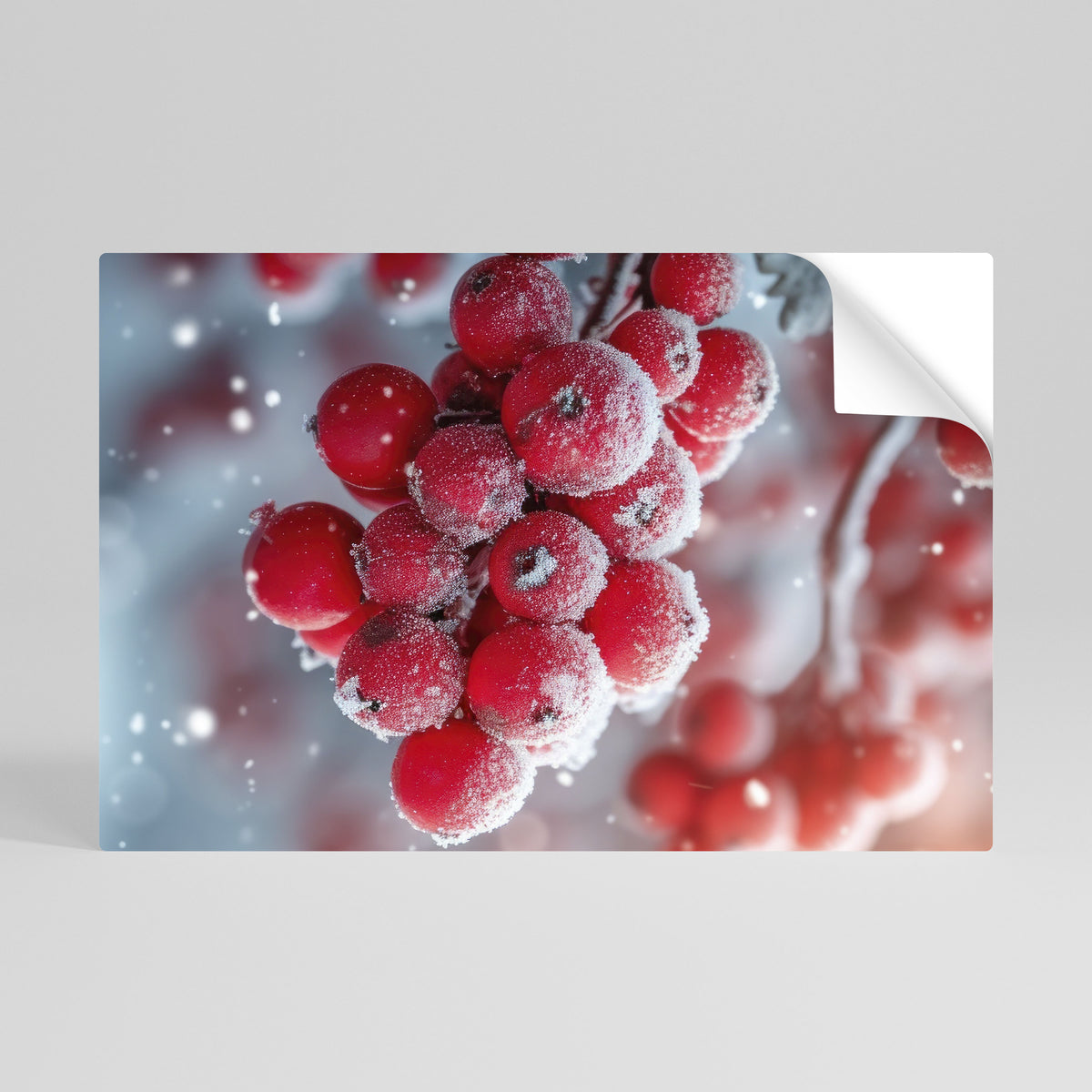 WINTER'S CRIMSON TREASURES Póster adhesivo horizontal