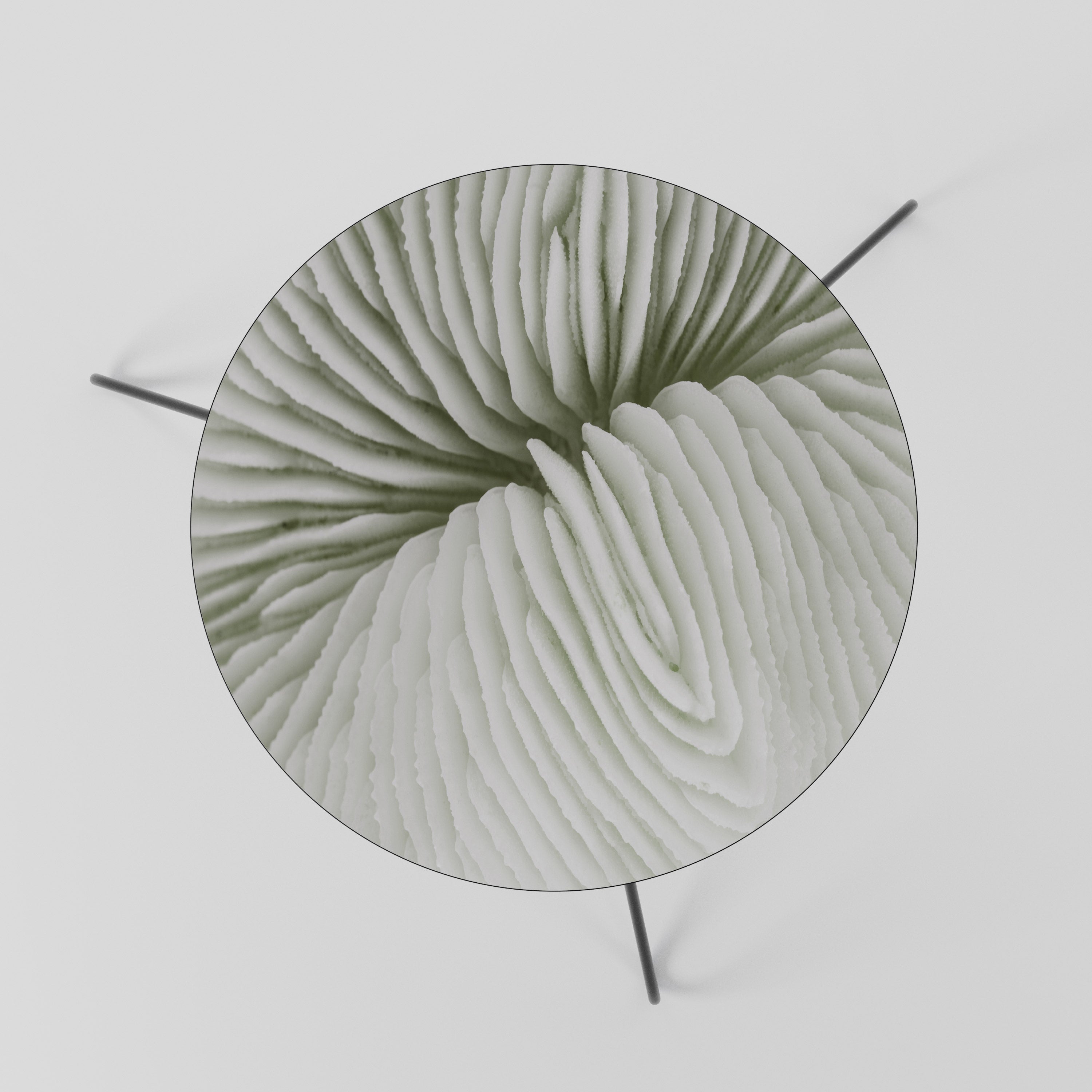 NATURE'S SYMMETRY Coffee Table 60