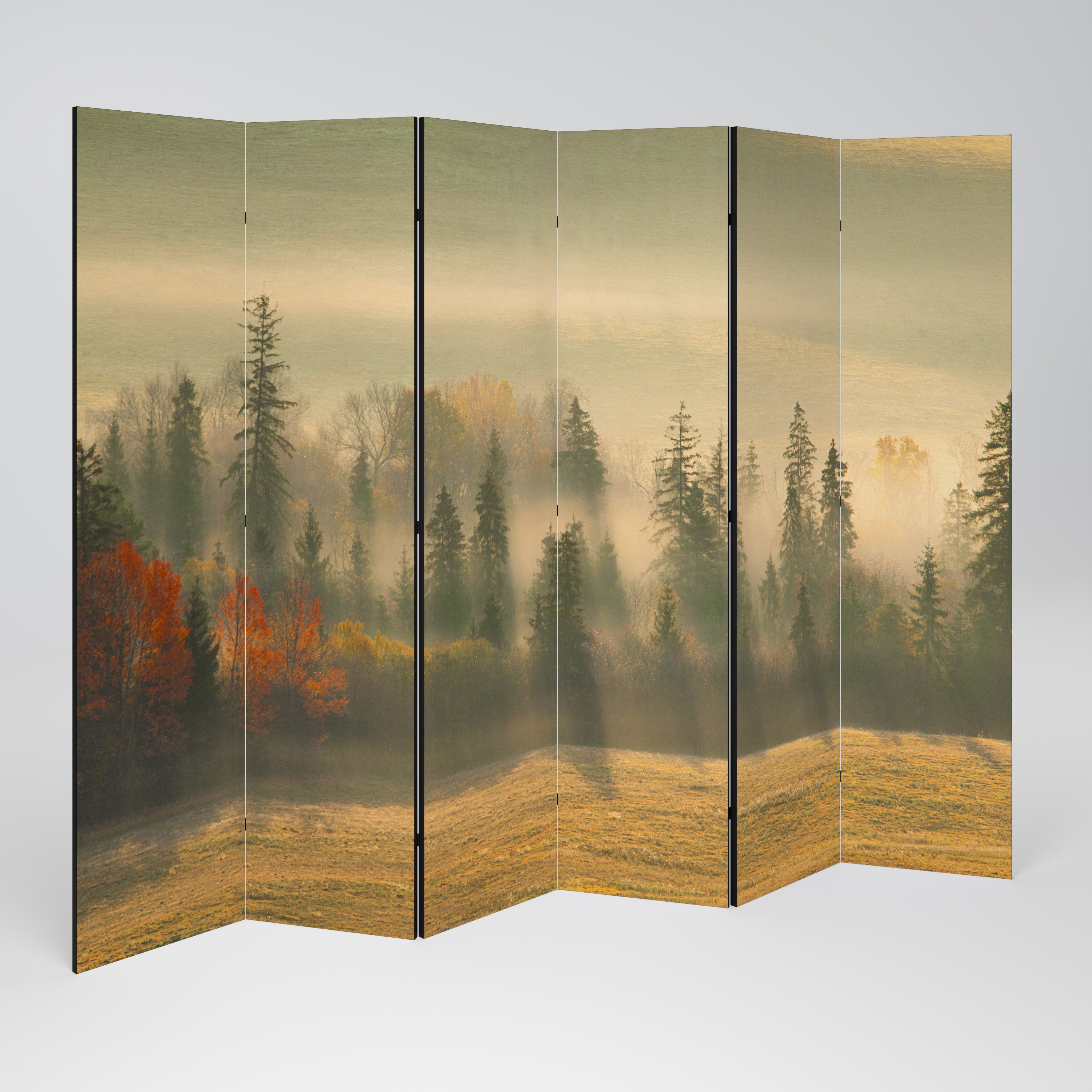 Biombo decorativo de 6 paneles GILDING HOURS