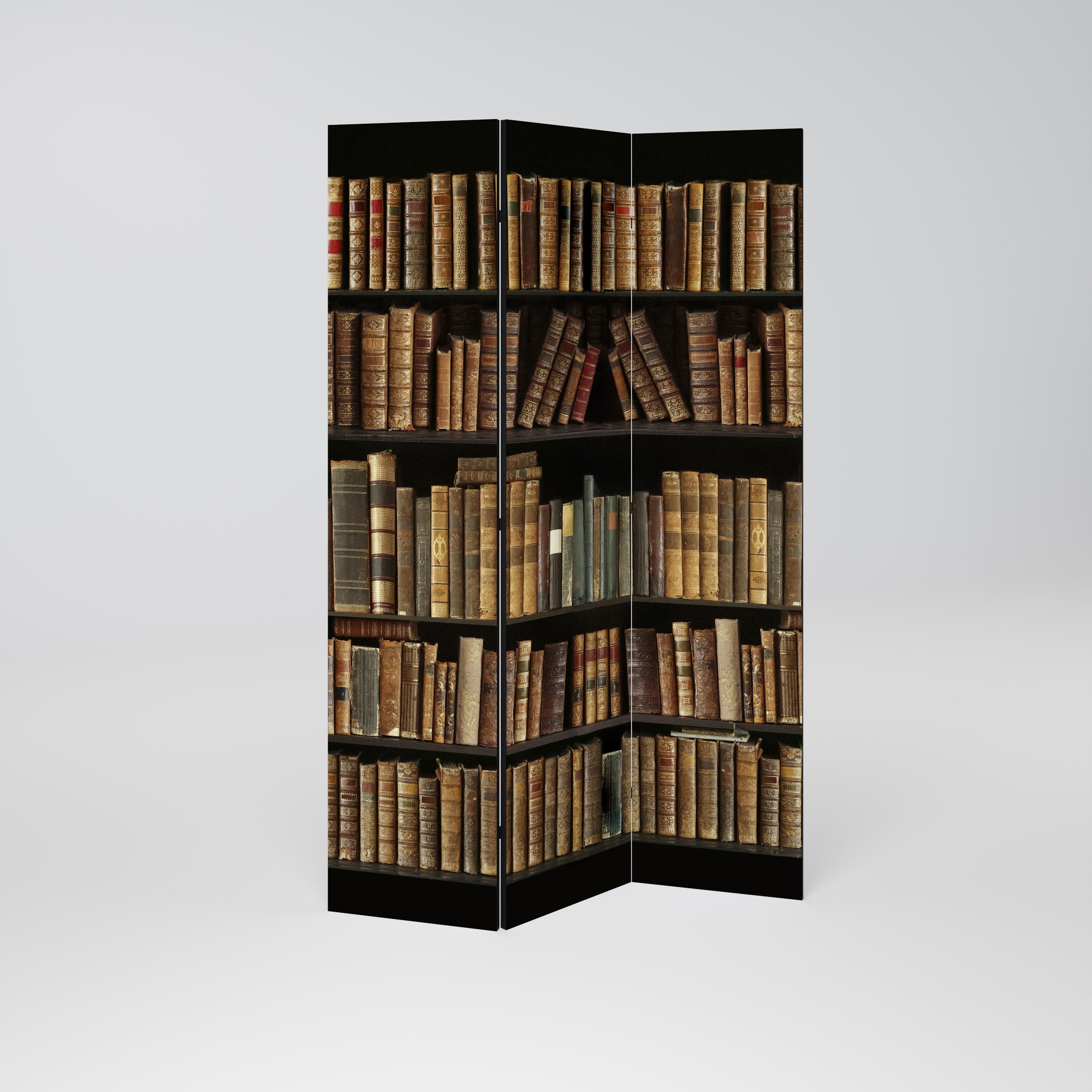SHELVES OF TIME Decorative 3-Panel Room Divider