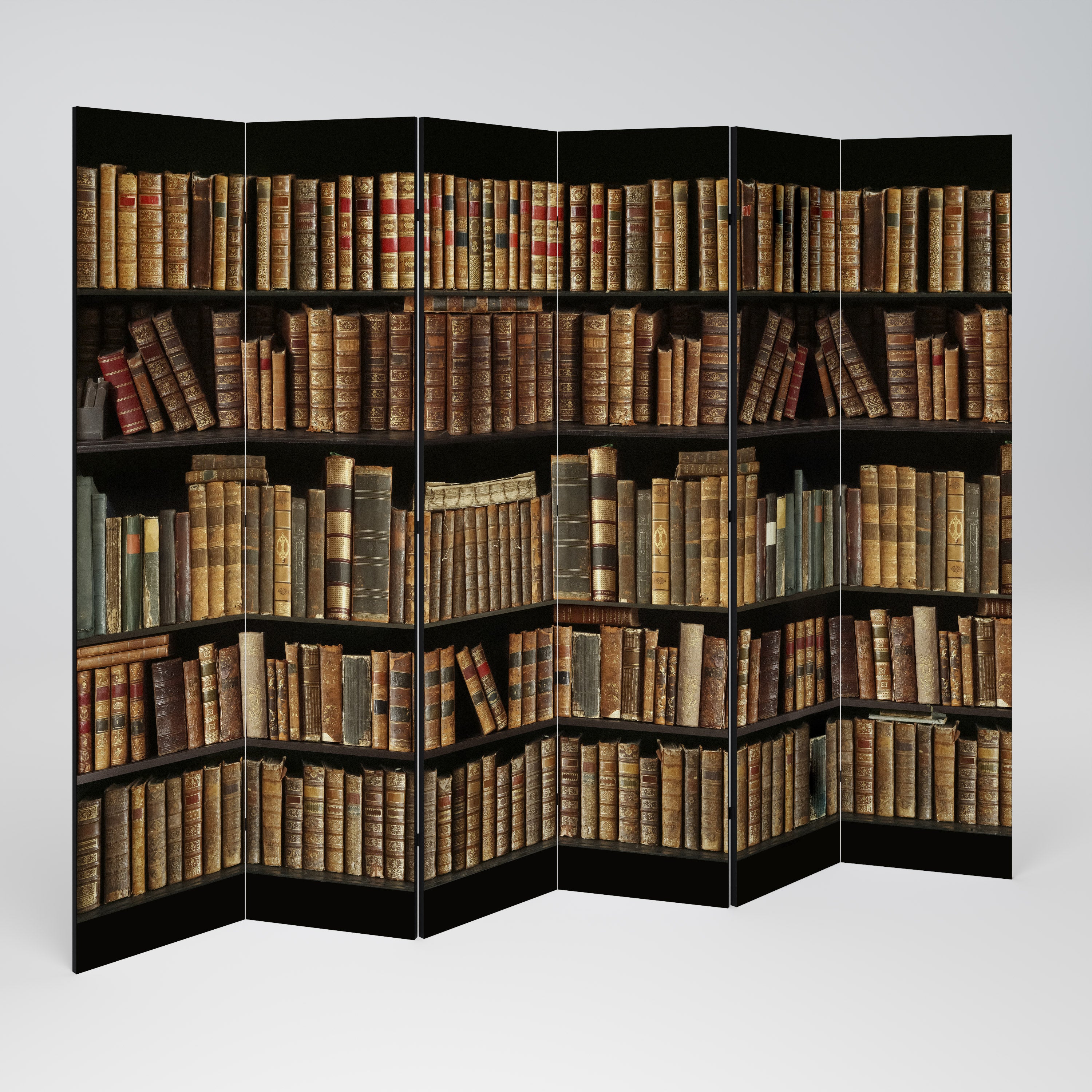 Biombo decorativo de 6 paneles SHELVES OF TIME