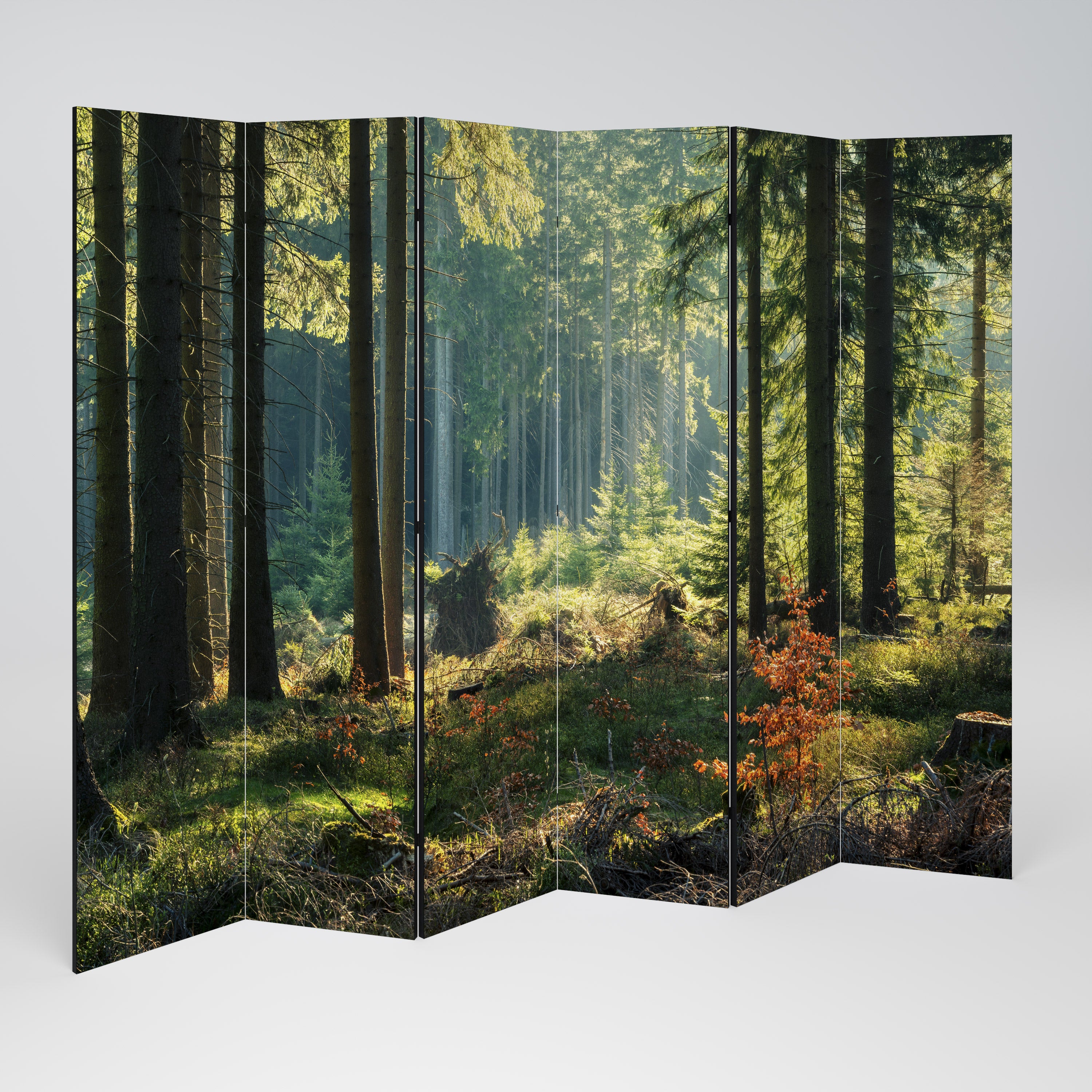 Biombo decorativo de 6 paneles SERENATA BOSQUE ILUMINADO POR EL SOL