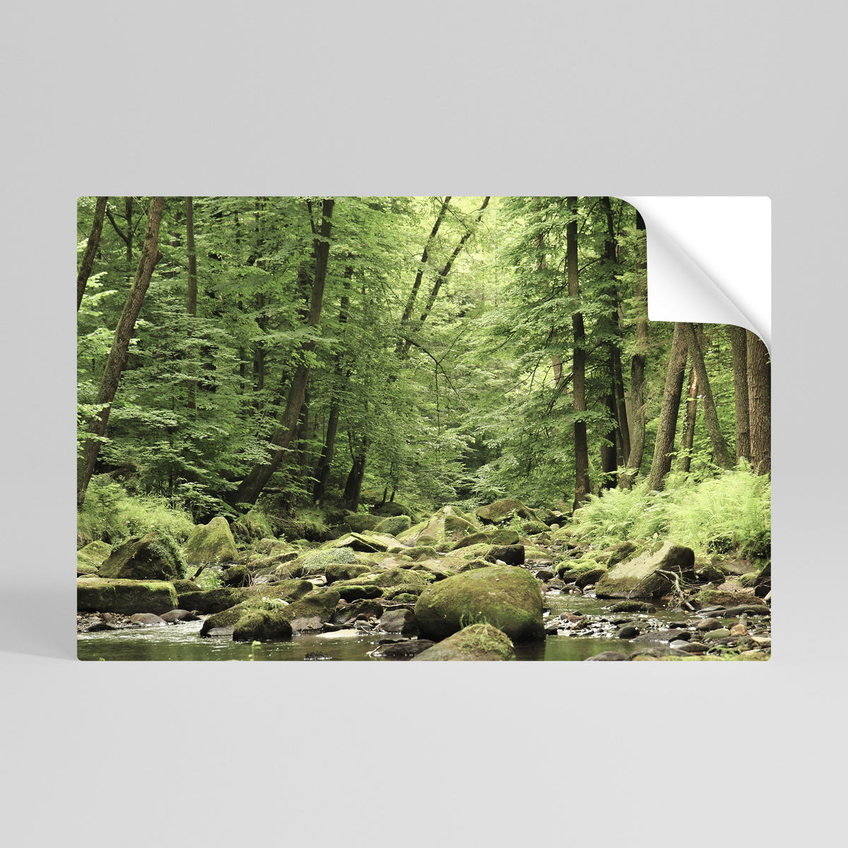 TRANQUIL STONES AND STREAMS Póster adhesivo horizontal