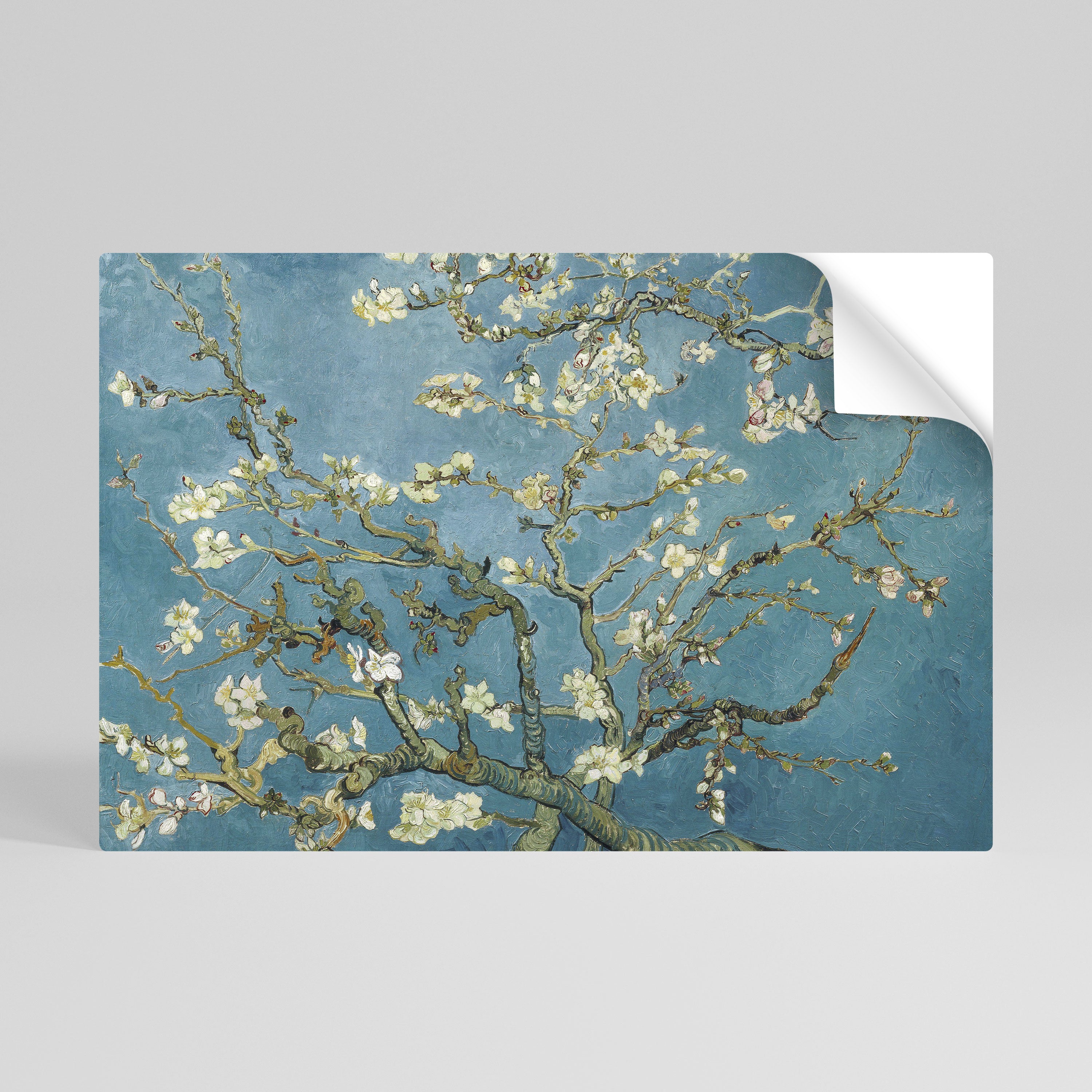 Póster horizontal autoadhesivo de FLOR DE ALMENDRO