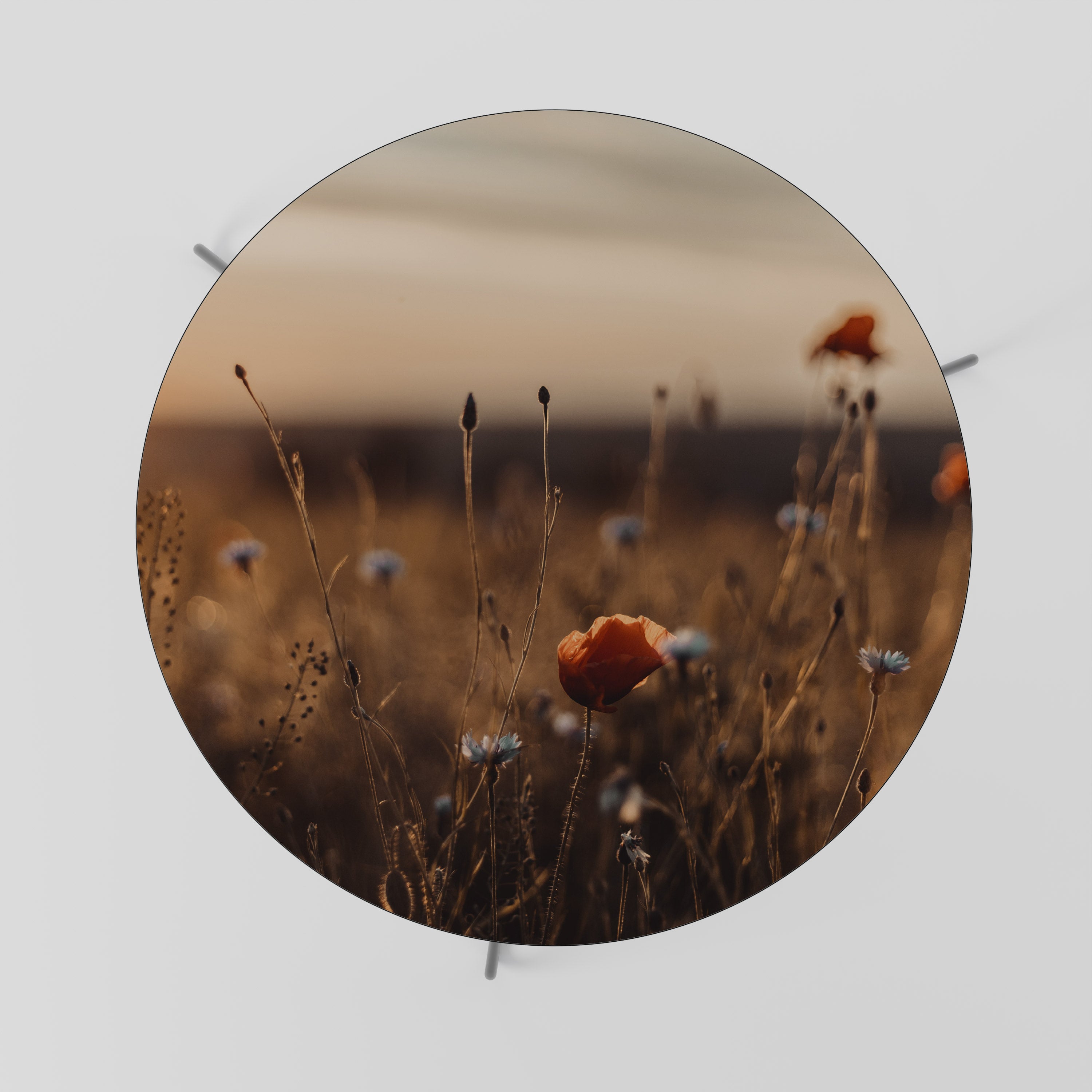 PRADOS RESPLANDECIENTES AL ANOCHECER Mesa de centro 69