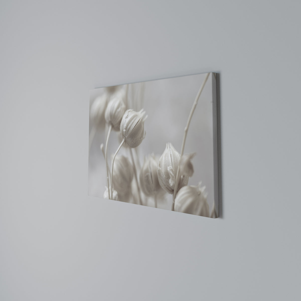 MYSTICAL BOTANICAL BLUSH Cuadro en lienzo horizontal