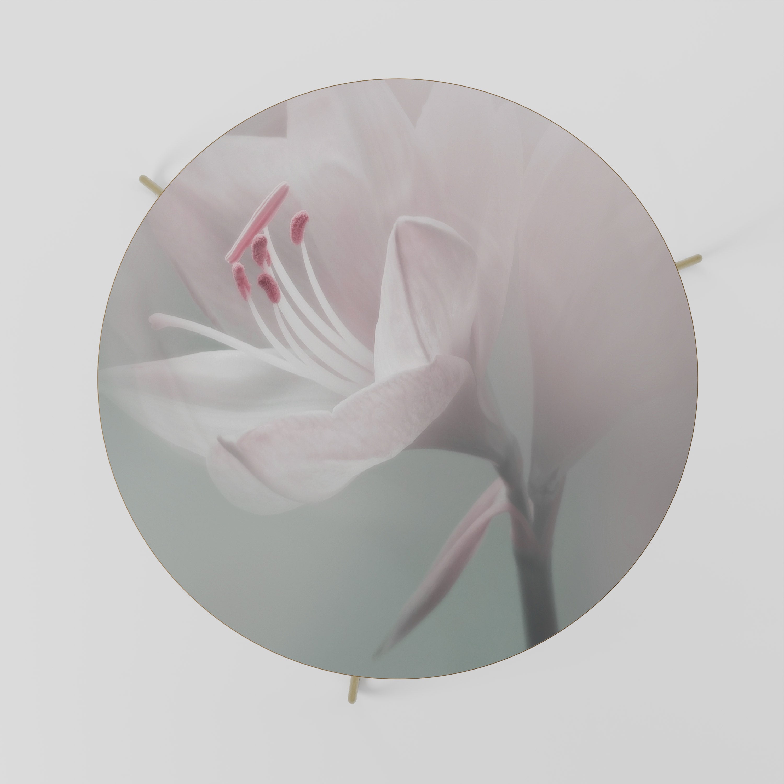 Mesa de centro GENTLE LILY 69