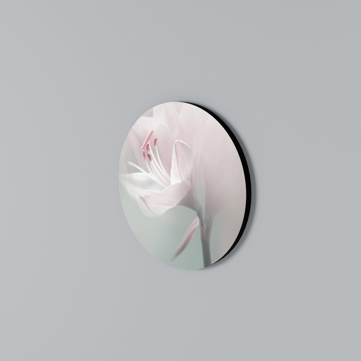 GENTLE LILY Arte de pared redondo