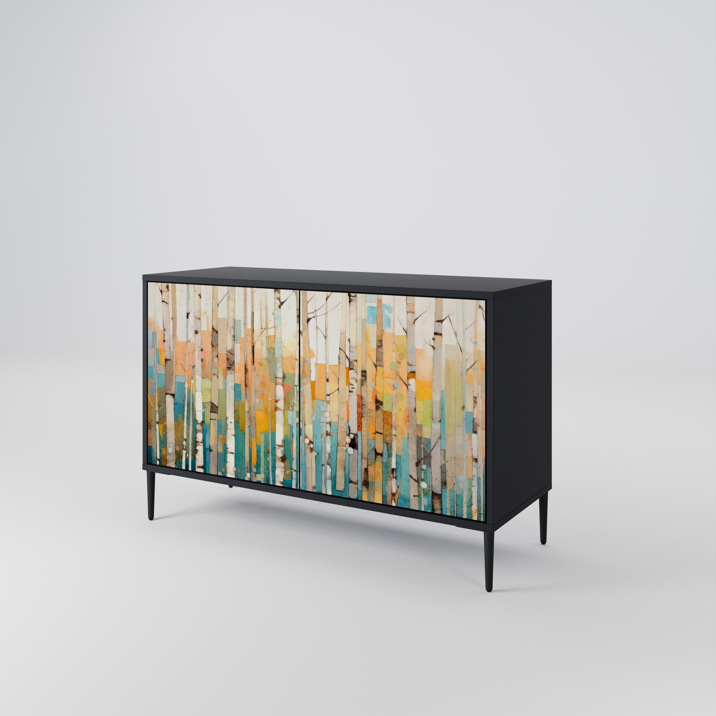 BIRCH KALEIDOSCOPE 2-Door Sideboard in Black Finish