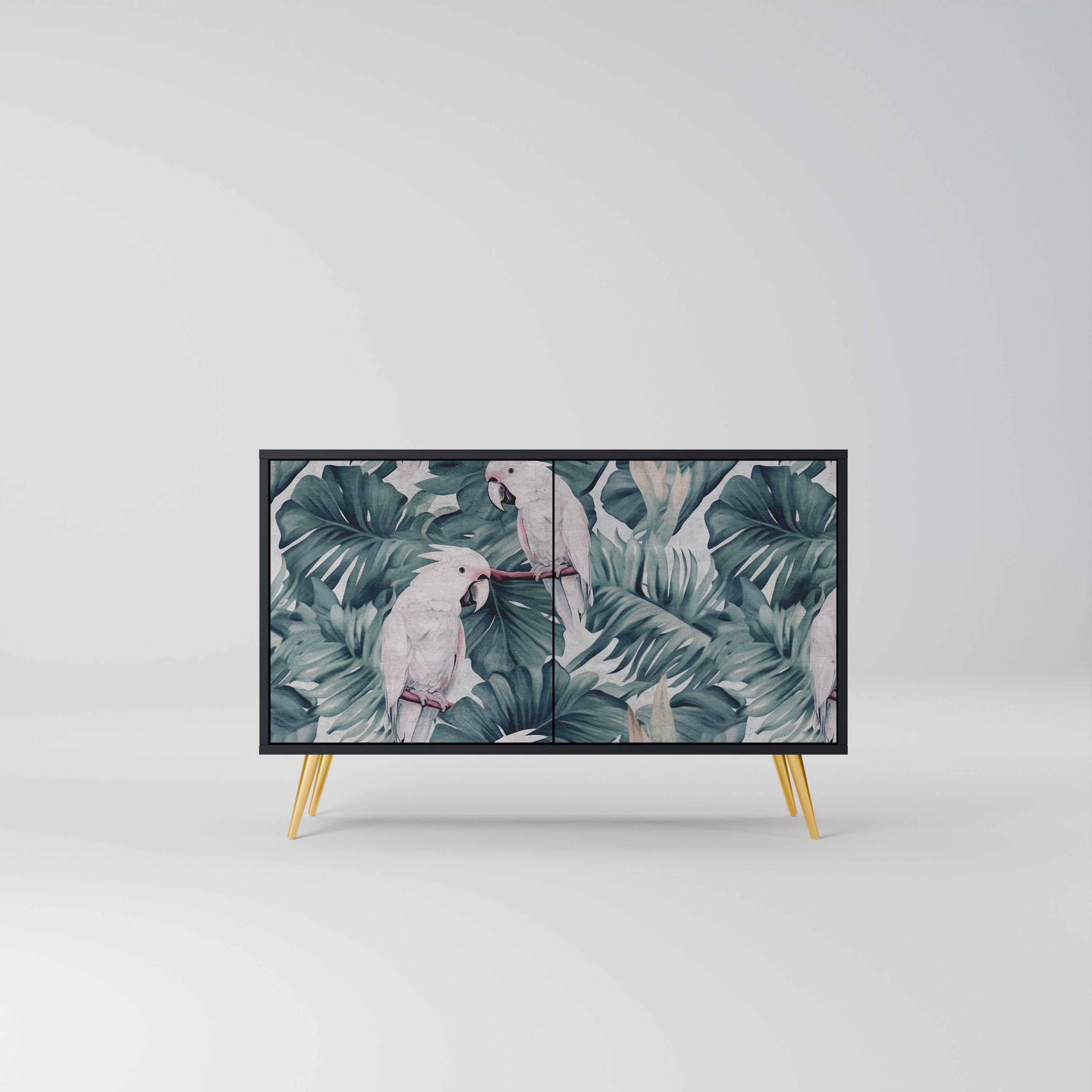 POPINJAY LOOK 2-Door Sideboard in Black Finish