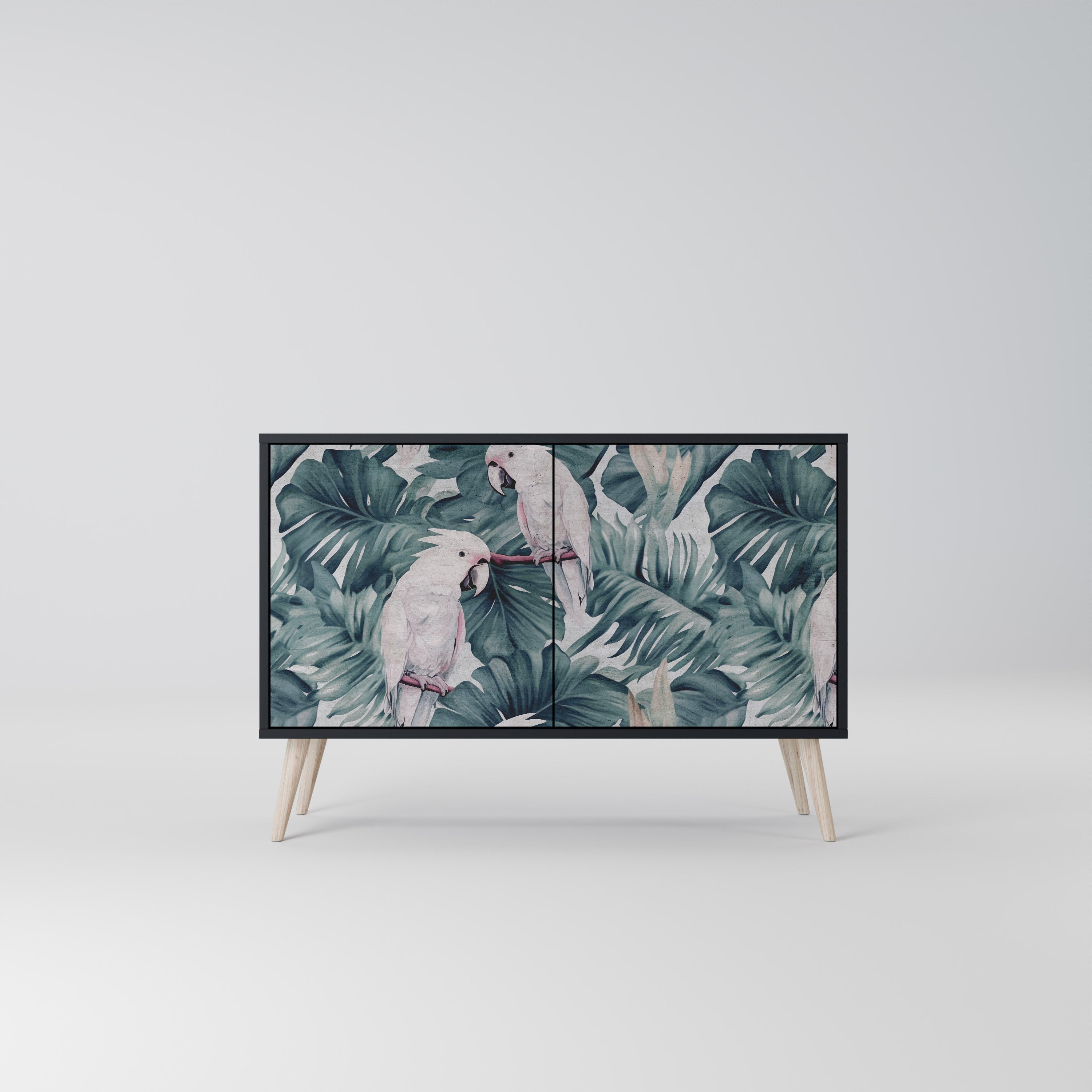 POPINJAY LOOK 2-Door Sideboard in Black Finish