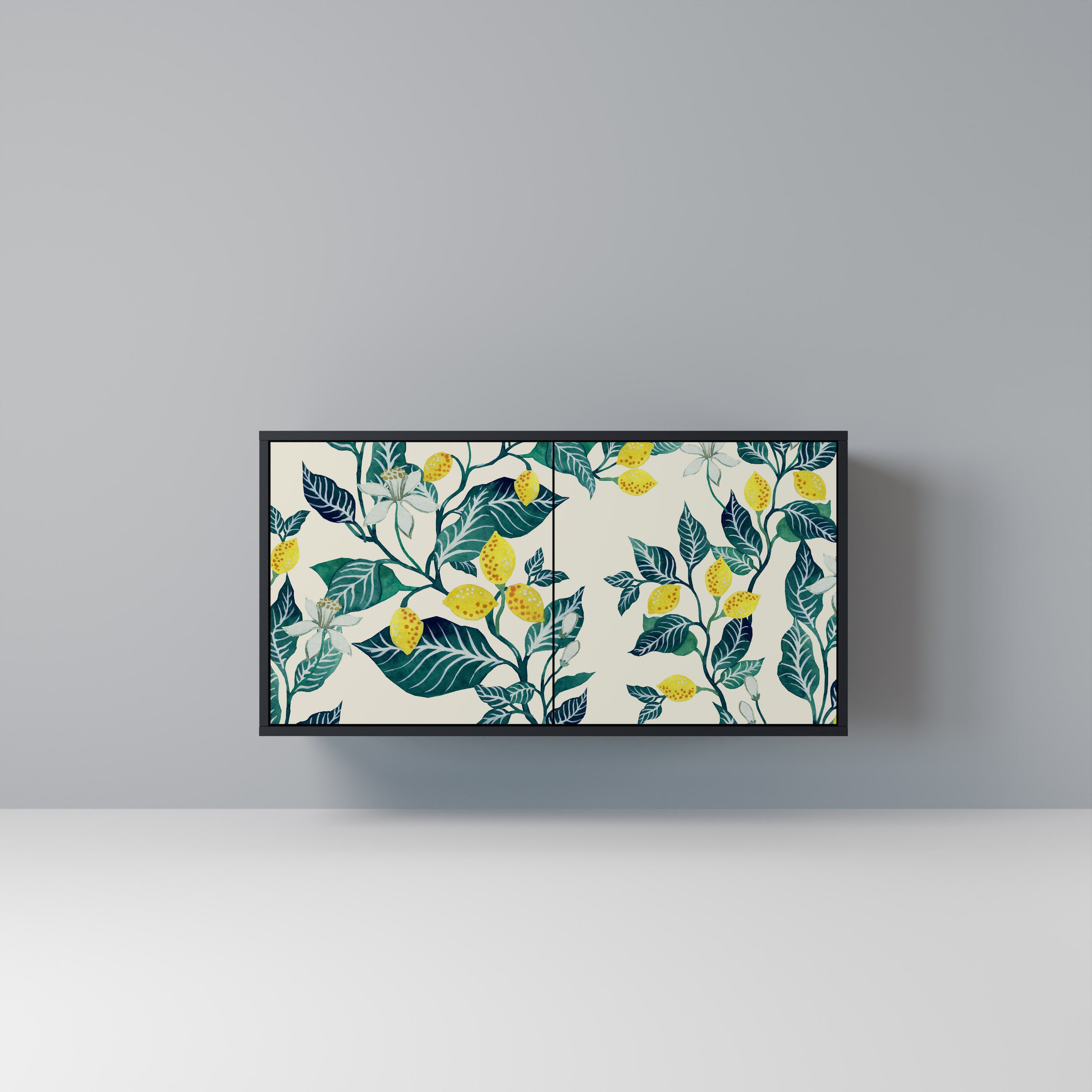 LEMON TREE 2-Door Sideboard in Black Finish