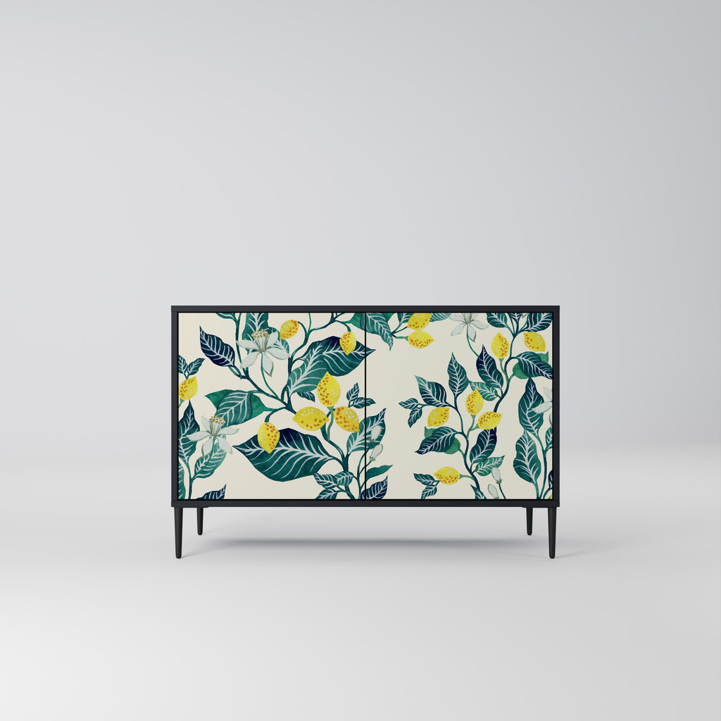 LEMON TREE 2-Door Sideboard in Black Finish