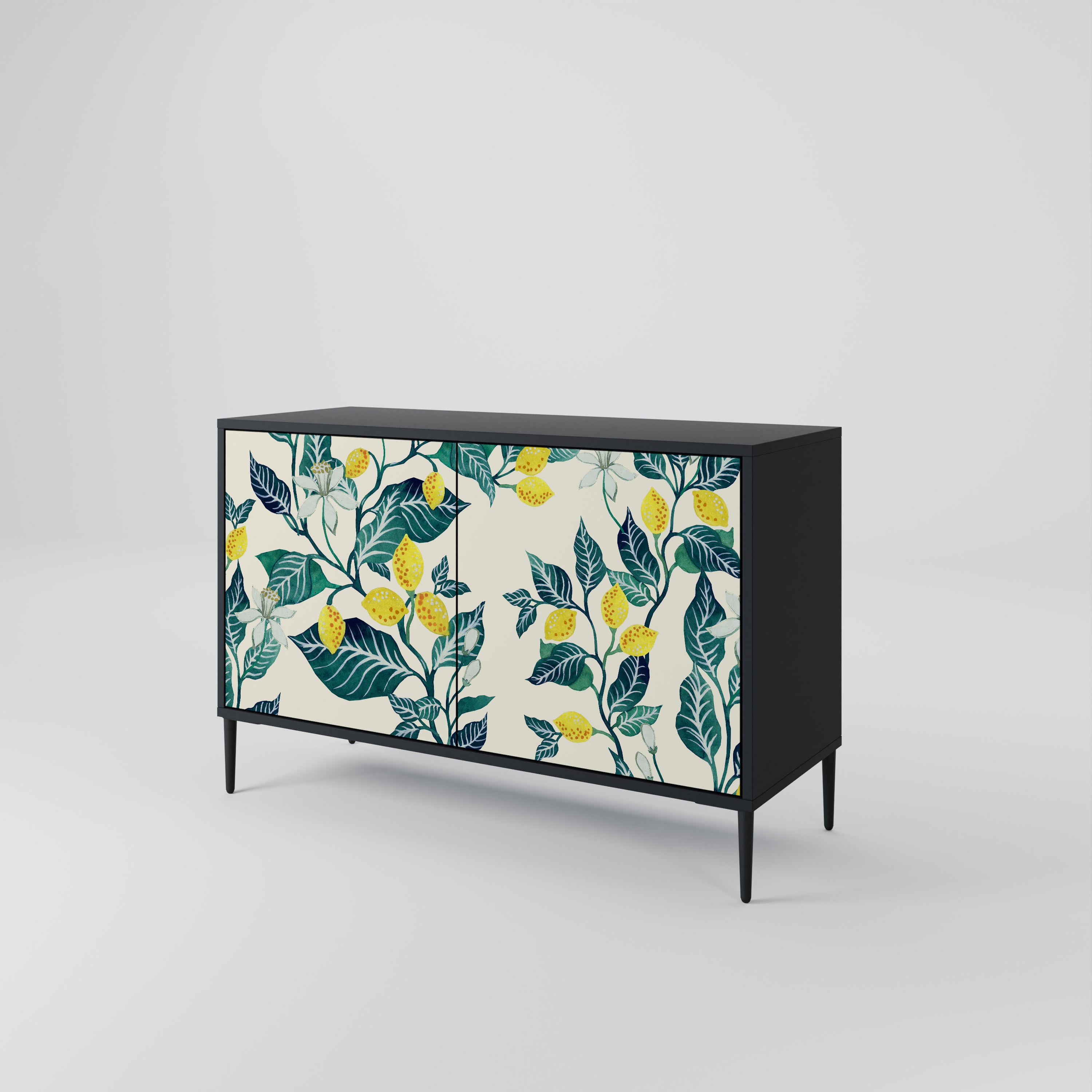 LEMON TREE 2-Door Sideboard in Black Finish