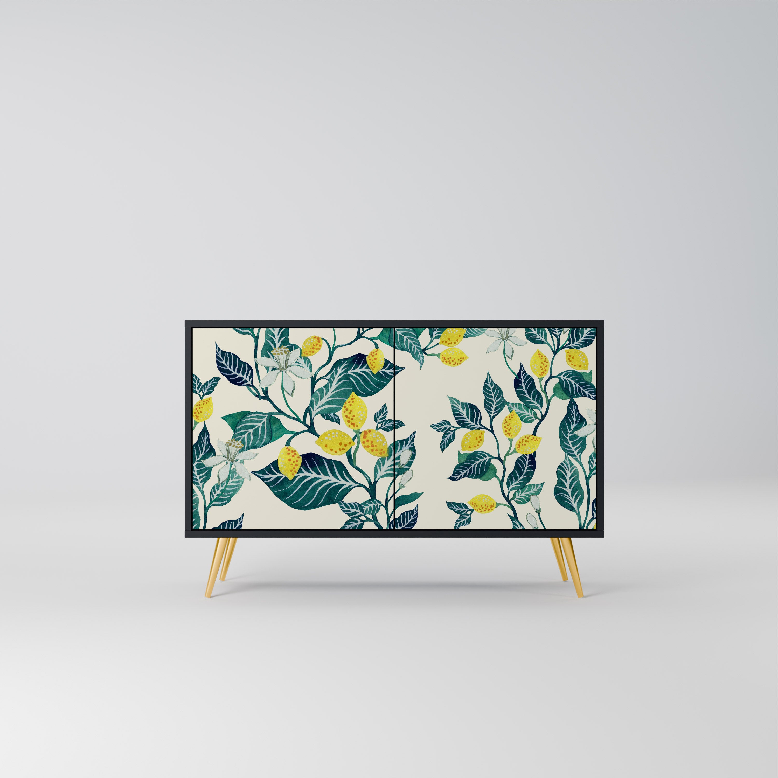 LEMON TREE 2-Door Sideboard in Black Finish