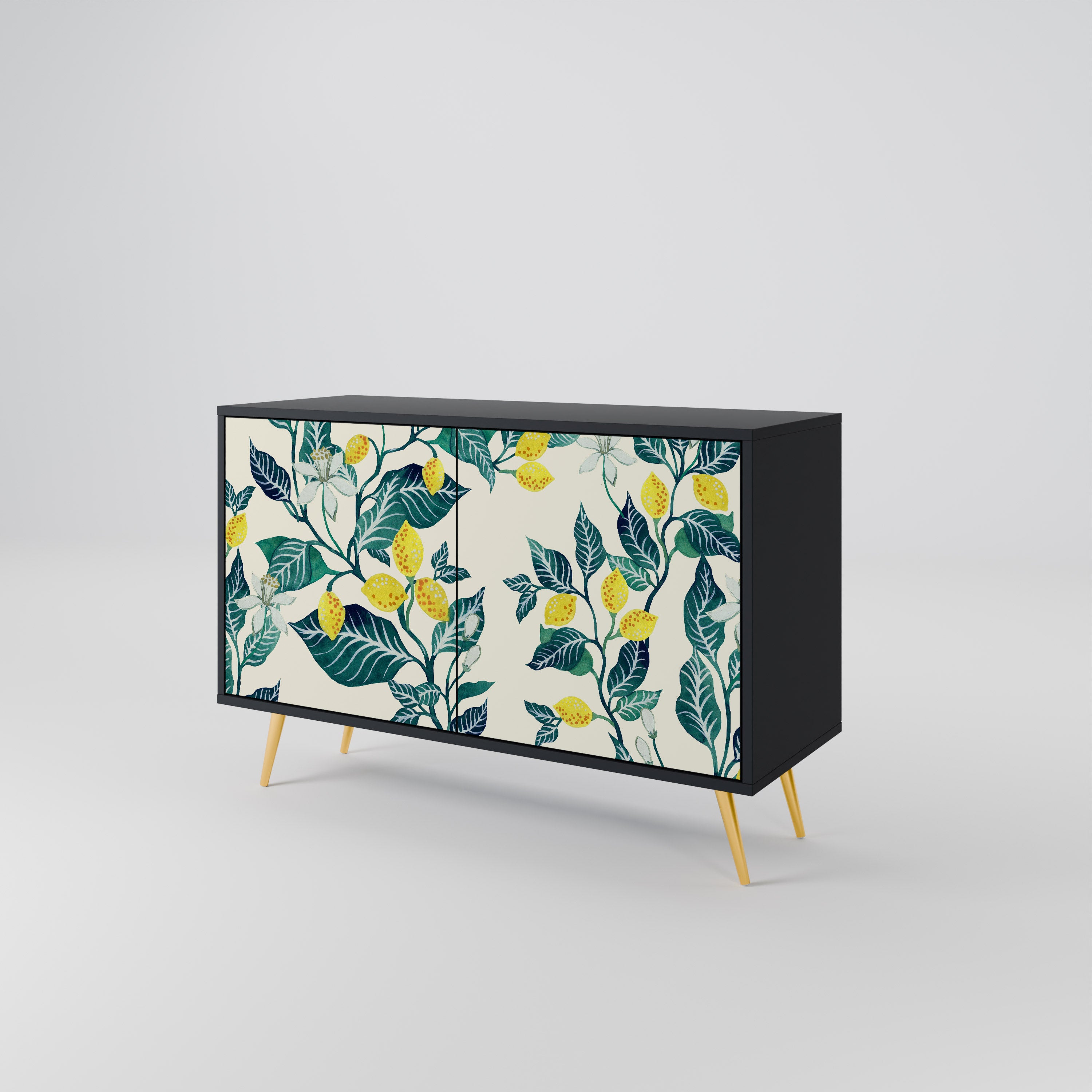 LEMON TREE 2-Door Sideboard in Black Finish