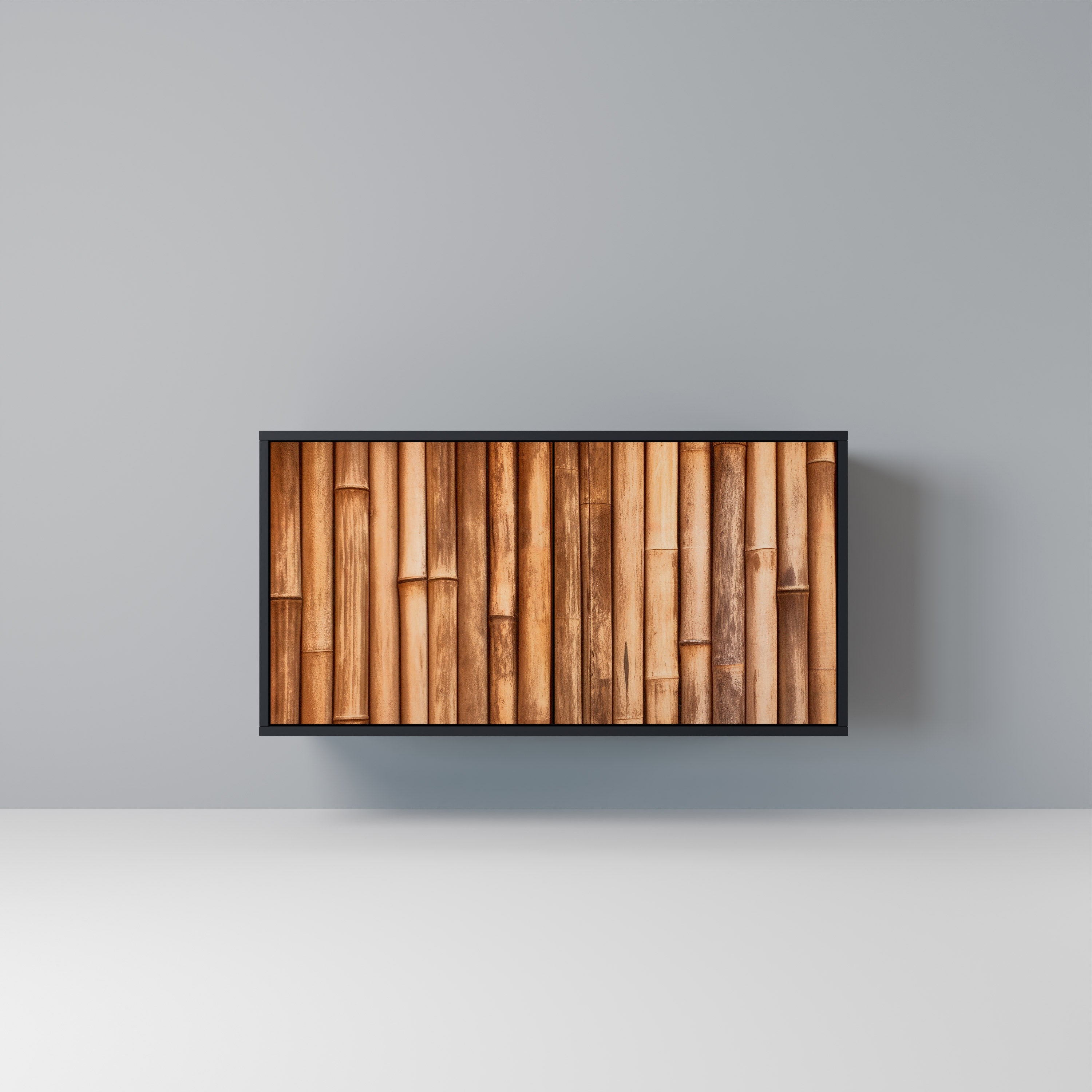 NATURAL WOOD 2-Door Sideboard in Black Finish