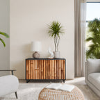 NATURAL WOOD 2-Door Sideboard in Black Finish