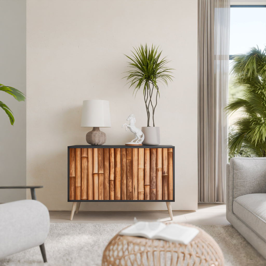NATURAL WOOD 2-Door Sideboard in Black Finish