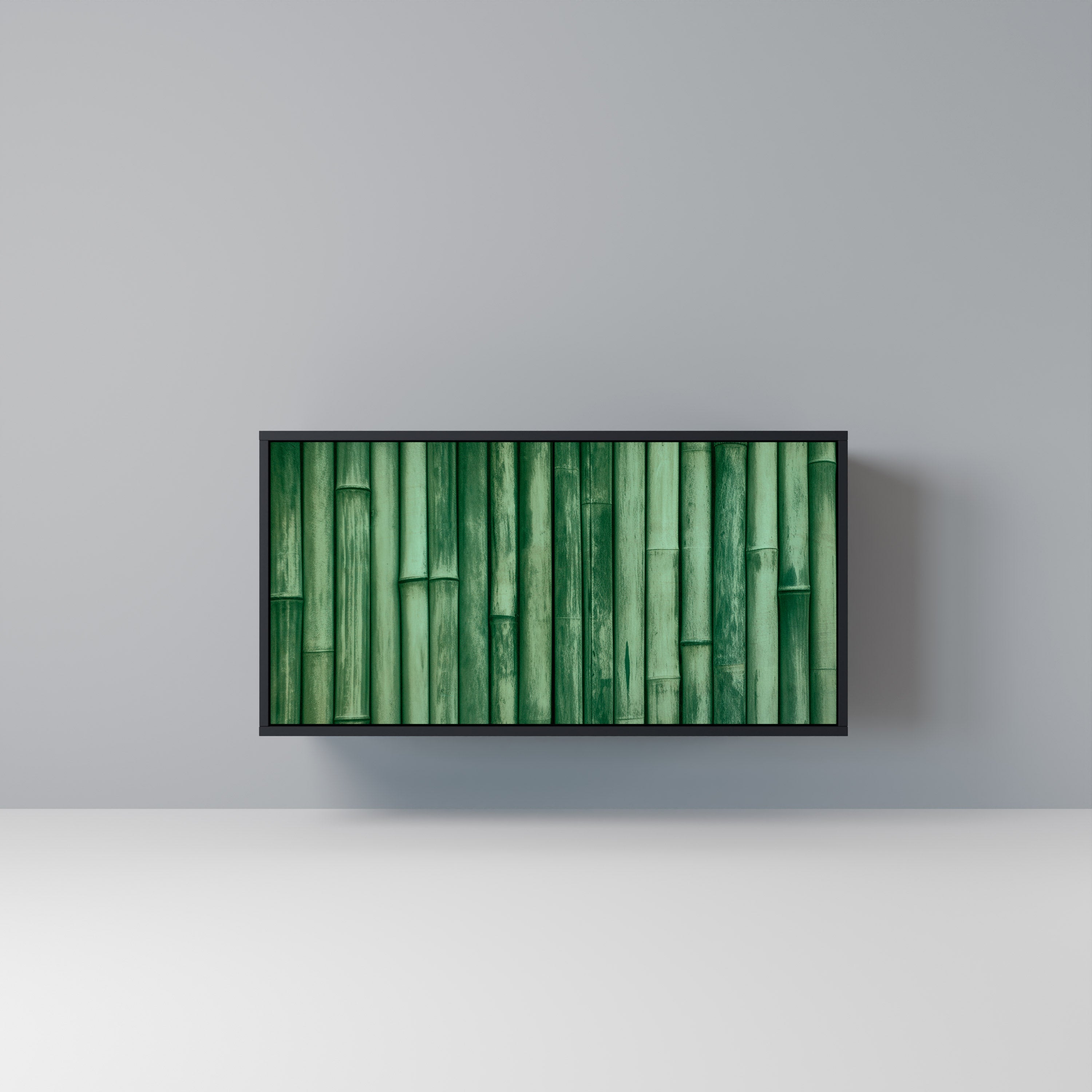 NATURAL GREEN 2-Door Sideboard in Black Finish