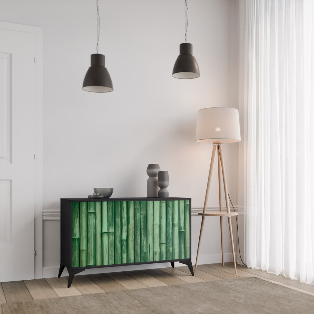 NATURAL GREEN 2-Door Sideboard in Black Finish